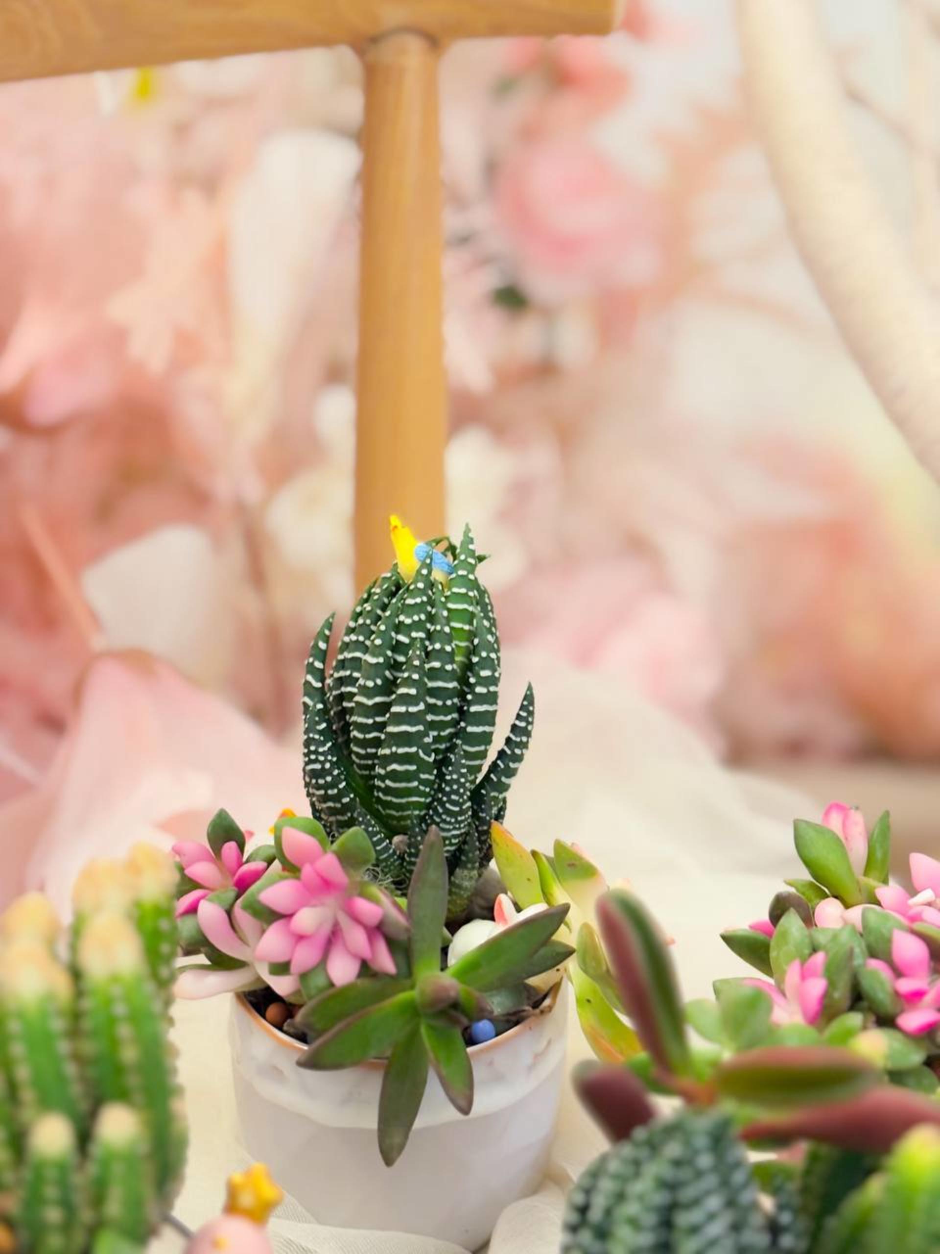 Myosotis Flower - Succulent Terrarium Workshop - Thumbnail 32