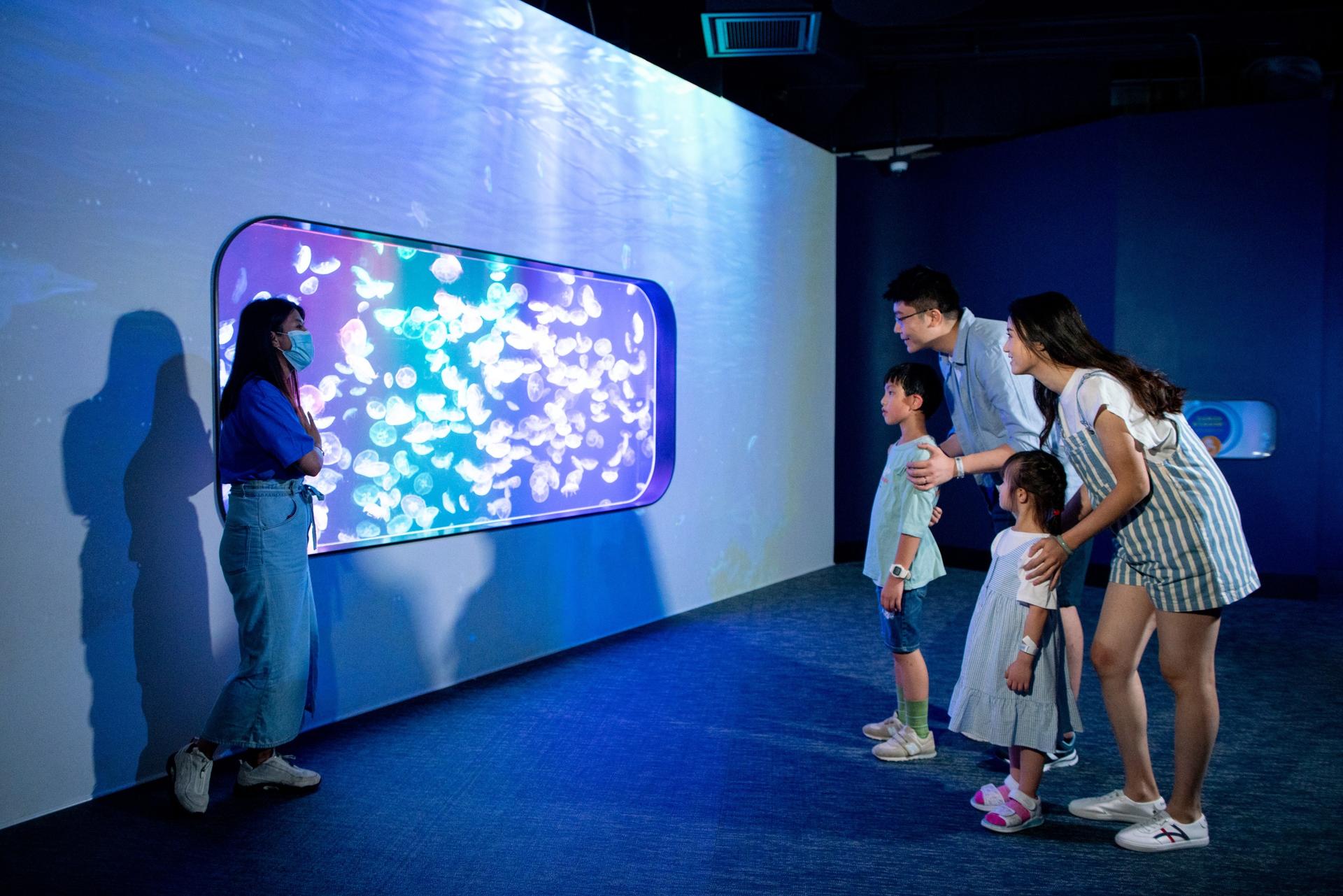 Hong Kong Cube O Discovery Park Ticket - Image 1