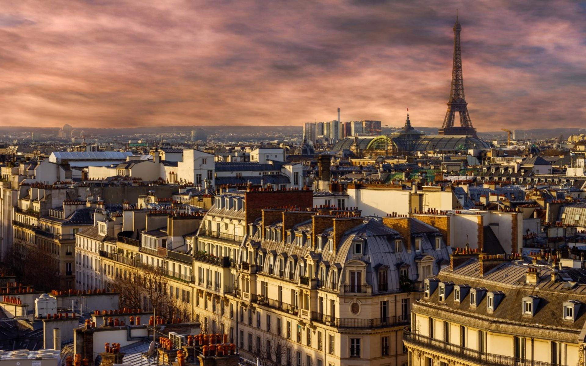 Paris in One Day Tour from Amsterdam  - Thumbnail 5