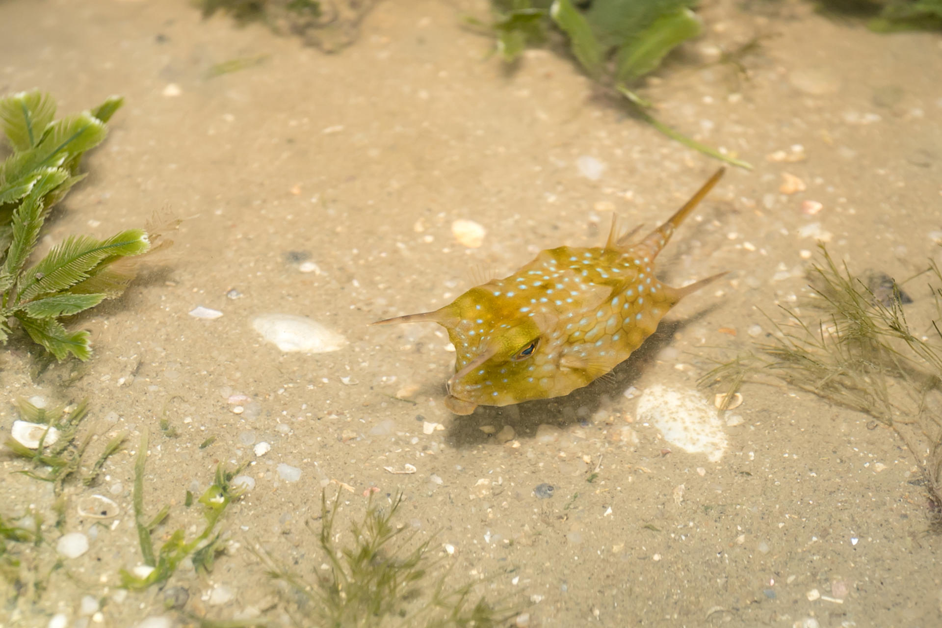 Experiential Intertidal Exploration by The Untamed Paths - Thumbnail 21