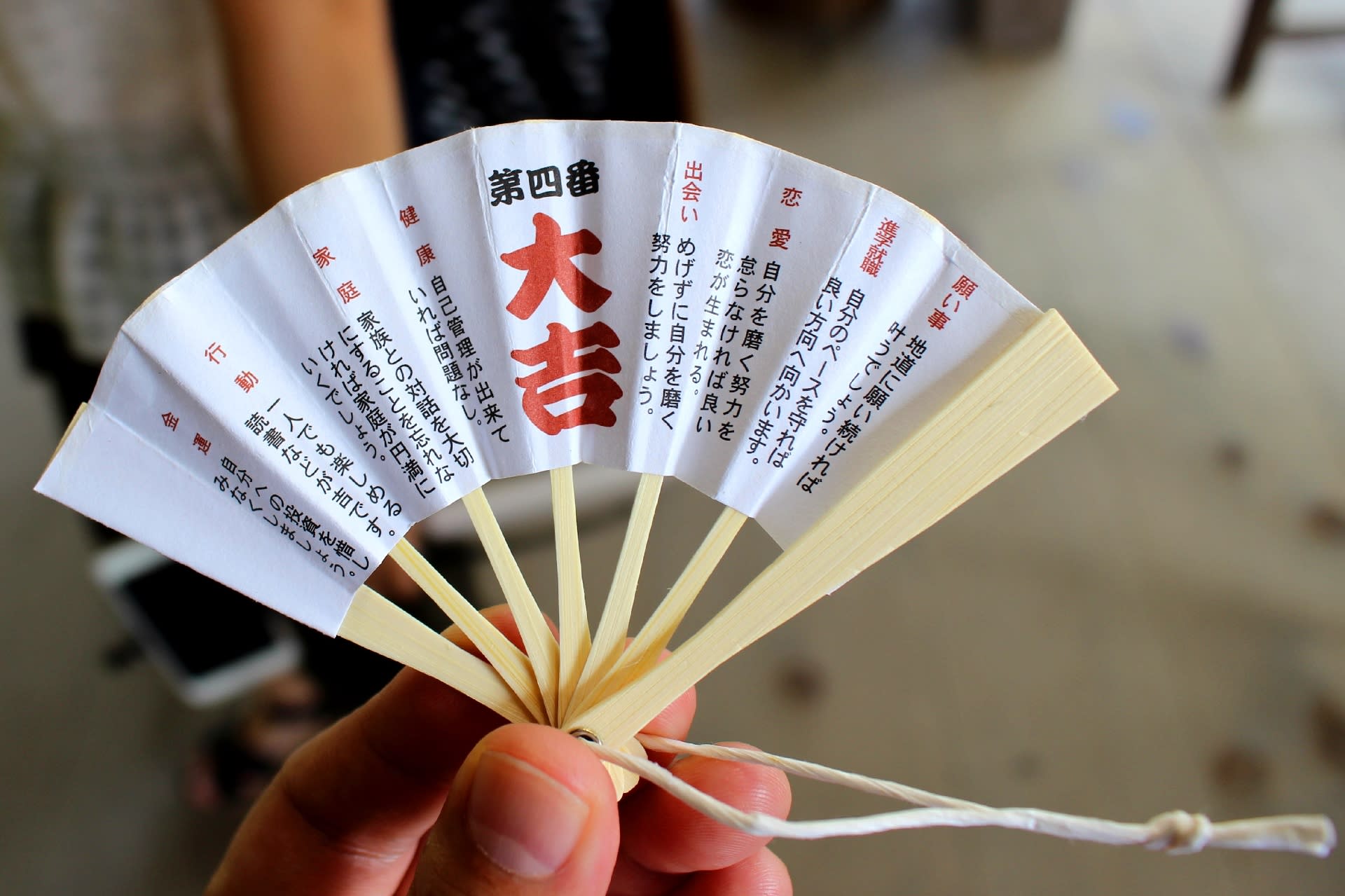 Day Trip to Amanohashidate & Ine no Funaya & Miyama Thatched Village in the Sea of Kyoto (Departure from Osaka or Kyoto) - Thumbnail 29