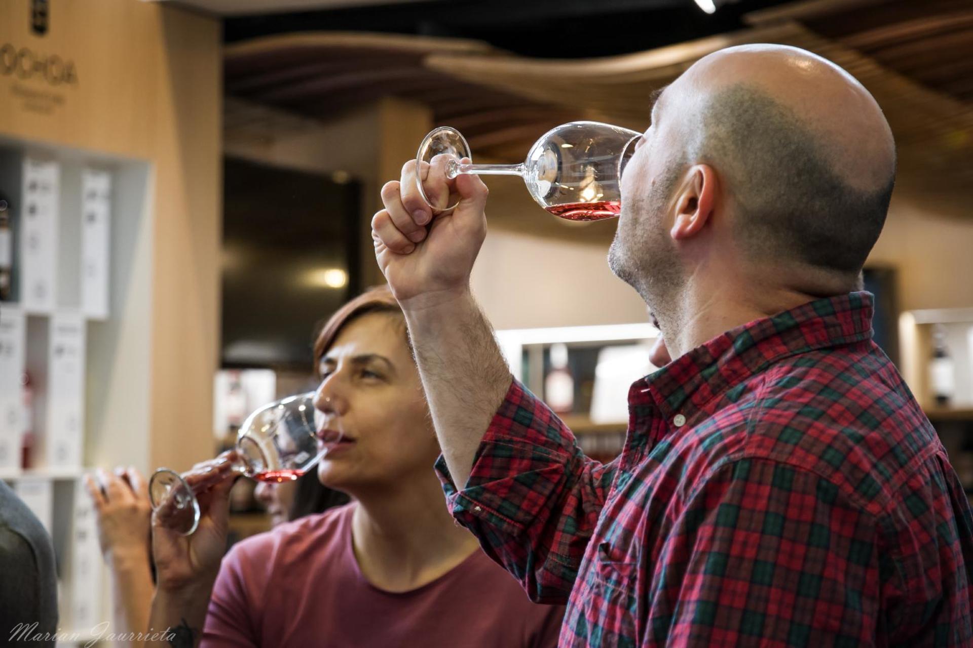 San Sebastian to La Rioja wine experience with tastings and vineyard visits - Thumbnail 4