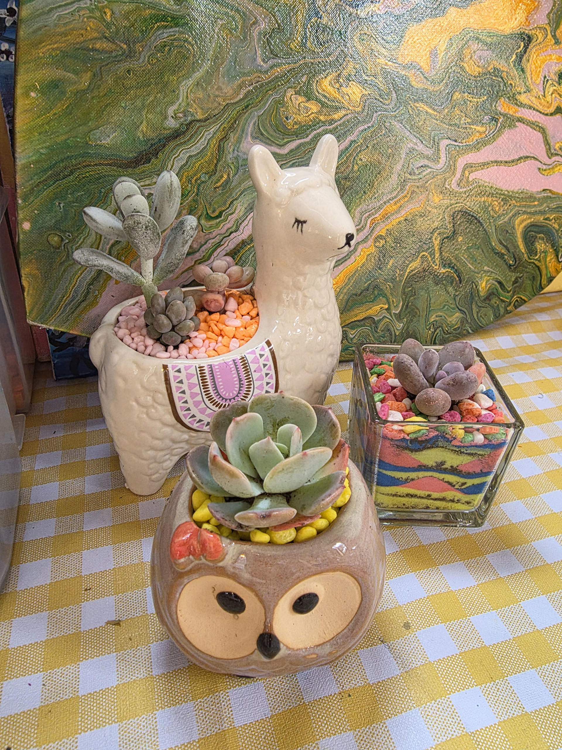 Succulent Plants Mini Potted Workshop Hong Kong Ma Wan 1868 - Image 1