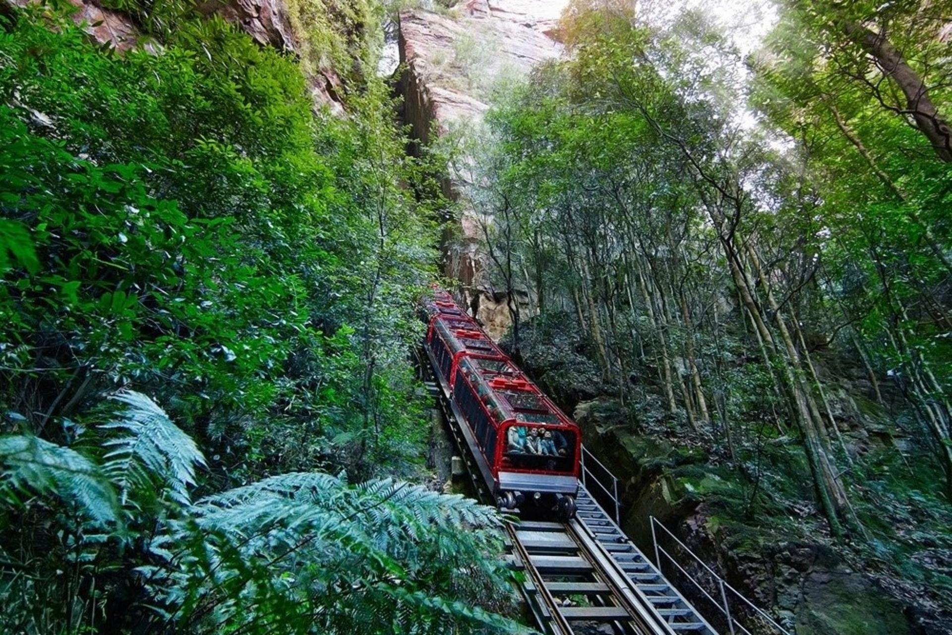 Blue Mountains Zoo, Koala, Leura & Scenic World Mandarin Tour - Thumbnail 10