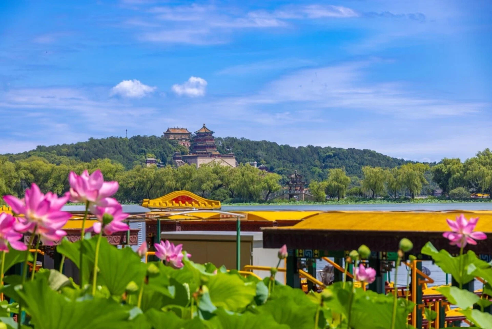 Forbidden City + Summer Palace Guided Day Tour | In-depth commentary - Thumbnail 11