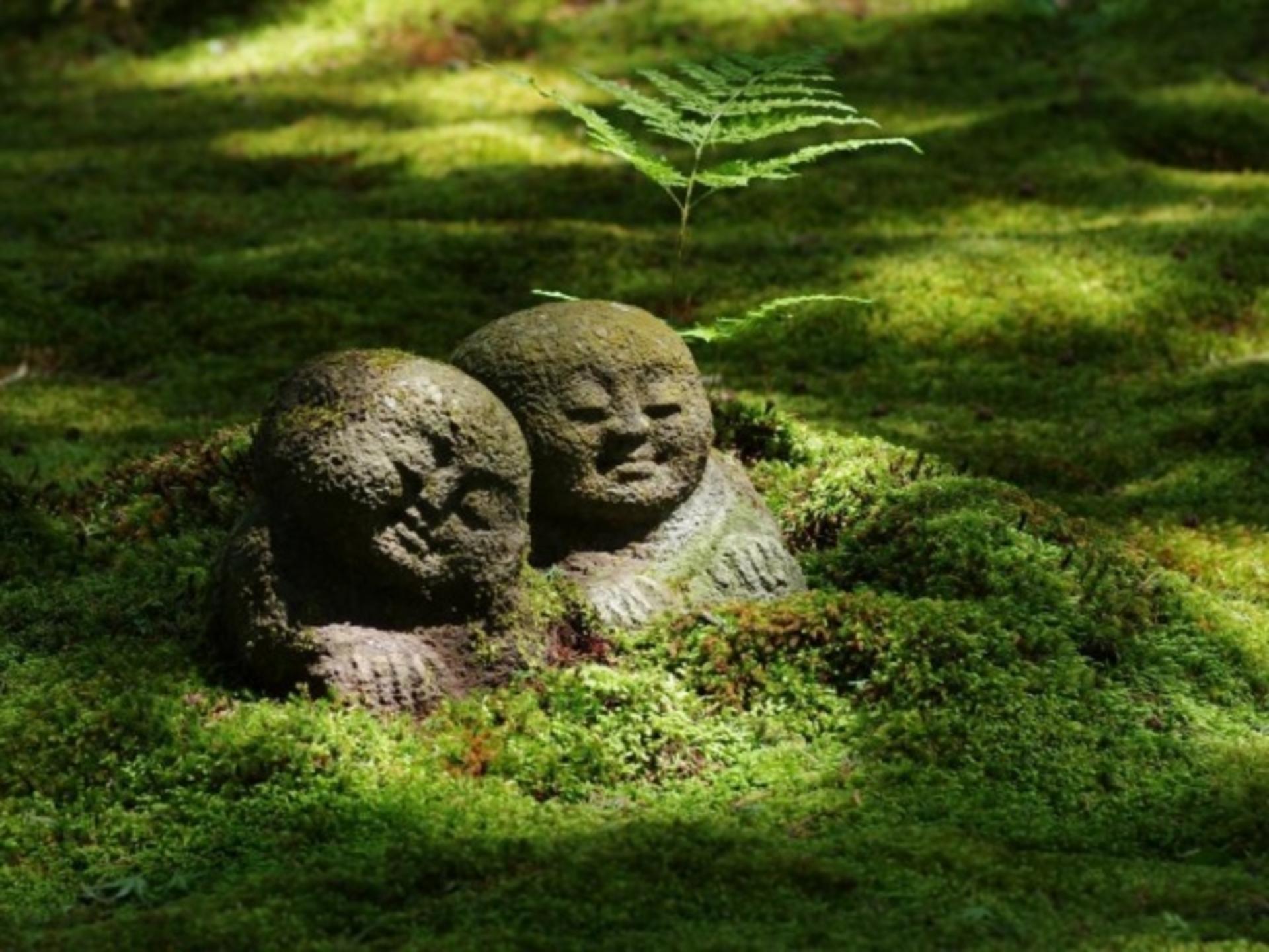 One-day trip to Kyoto's Kifune Shrine, Arashiyama, and Sanzen-in Temple - Thumbnail 4