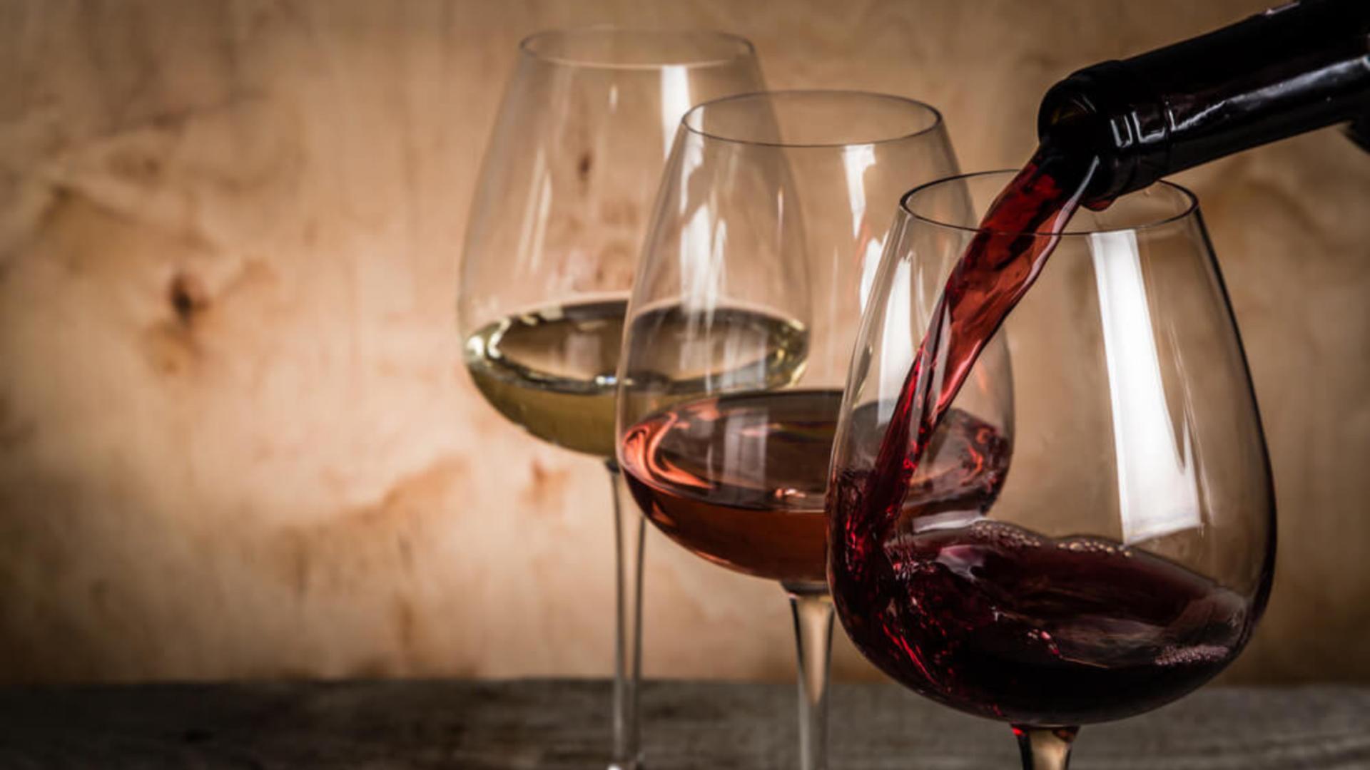 Exclusive wine tasting private tour in Rome  - Thumbnail 7