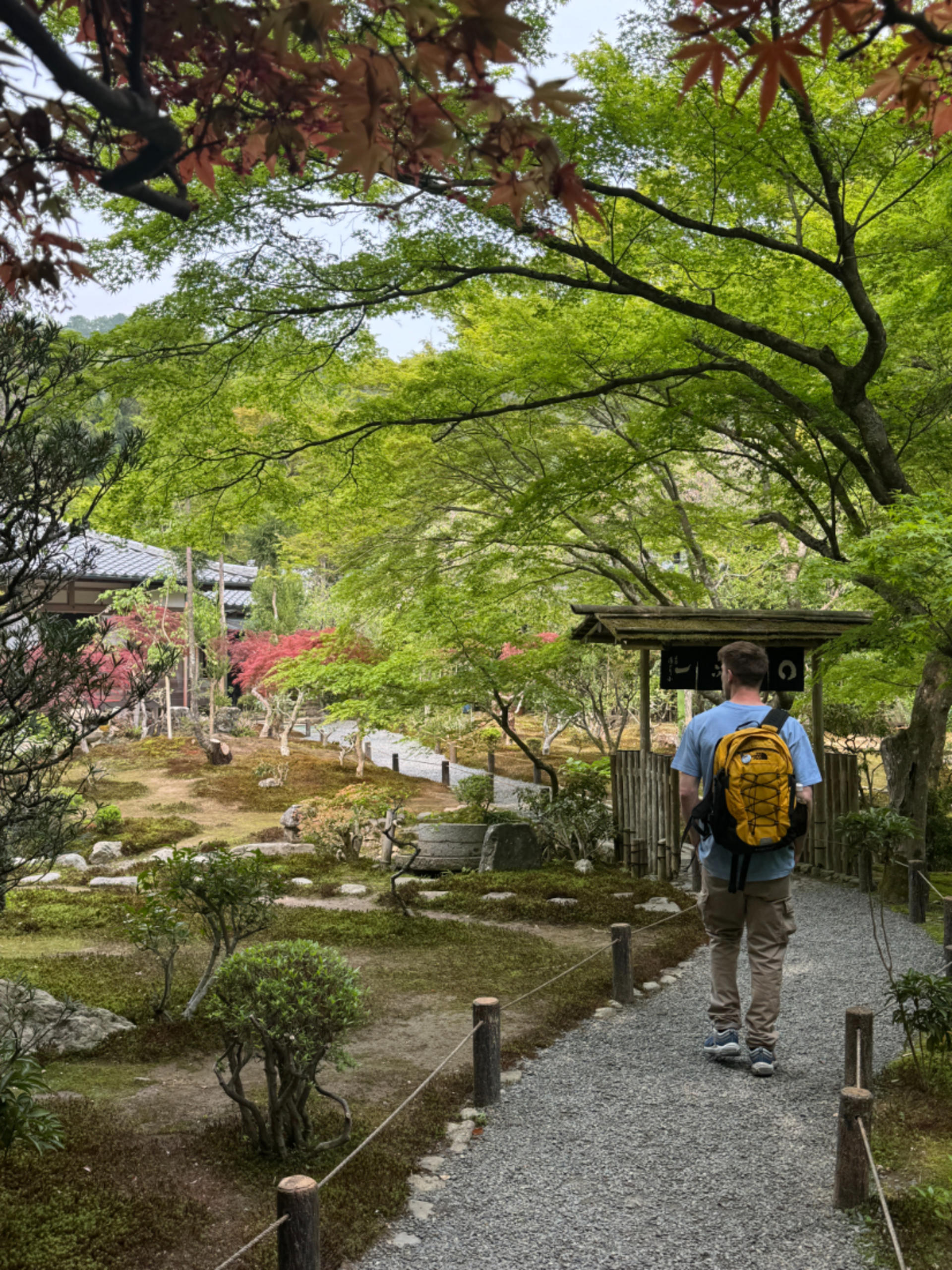 Kyoto Classic One Day Group Tour: Iconic Sites - Thumbnail 21