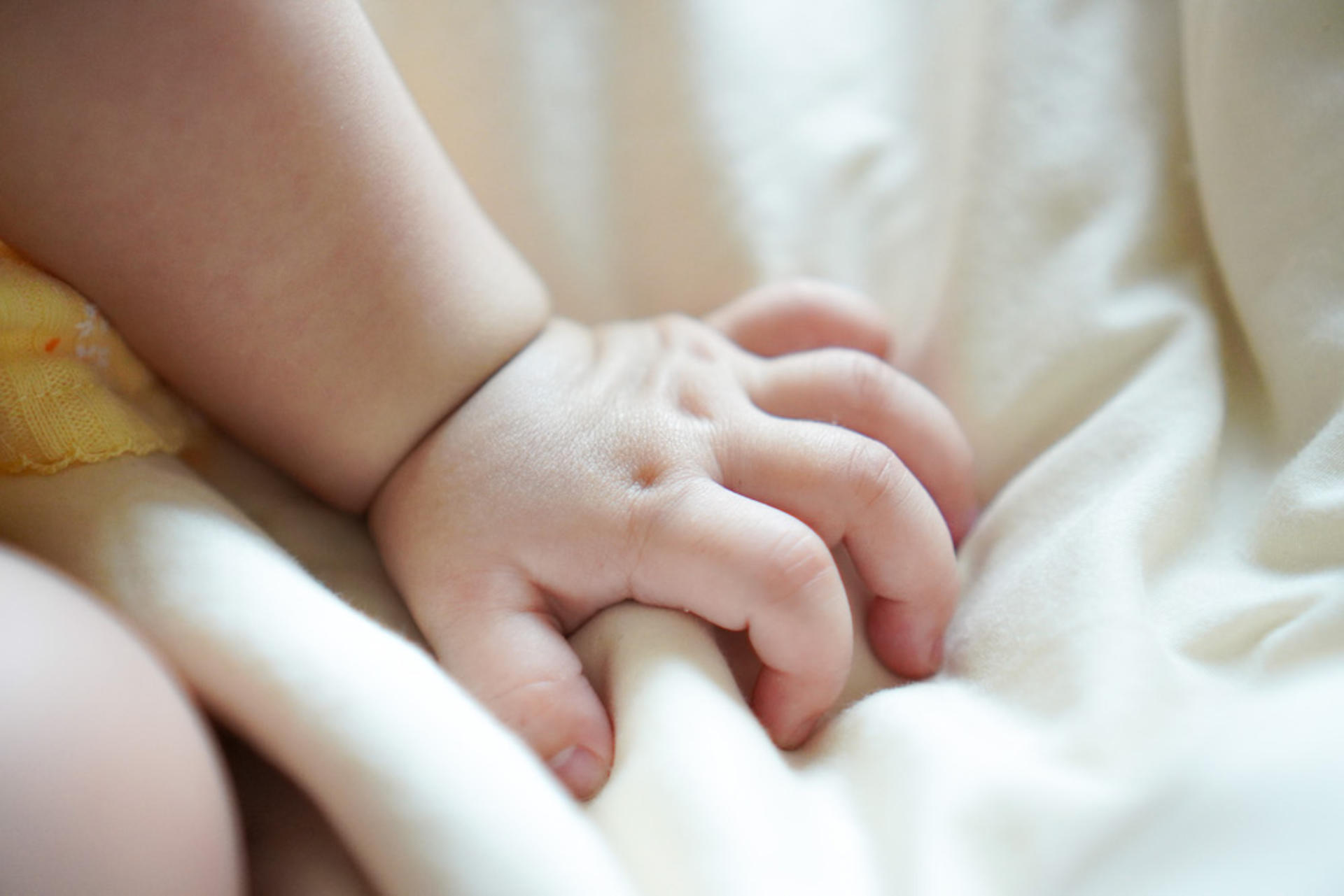 KATE.JPGGG Family Photoshoot / Baby Photoshoot (Location Customizable) - Thumbnail 5