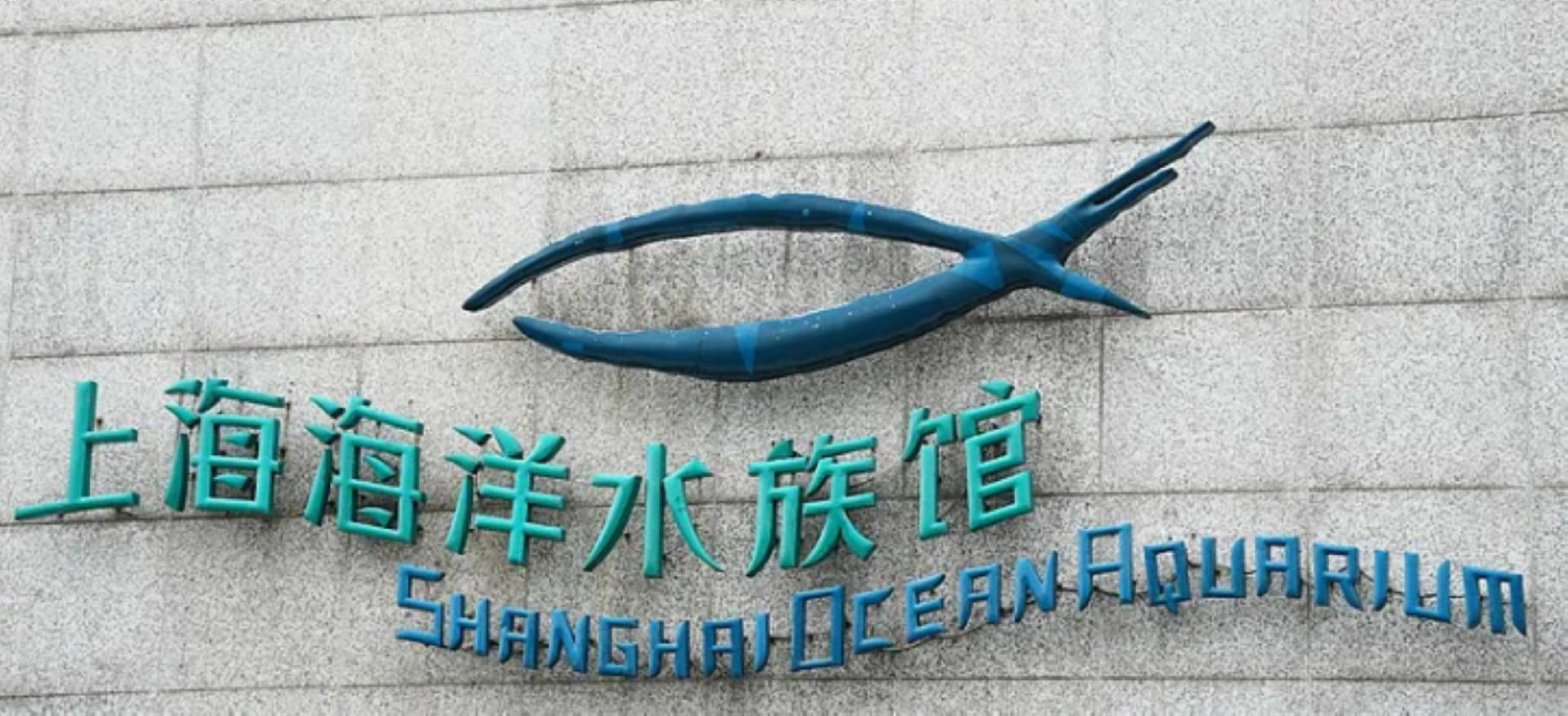 Shanghai Oriental Pearl + Ocean Aquarium + Huangpu River Night Cruise Day Tour - Thumbnail 5