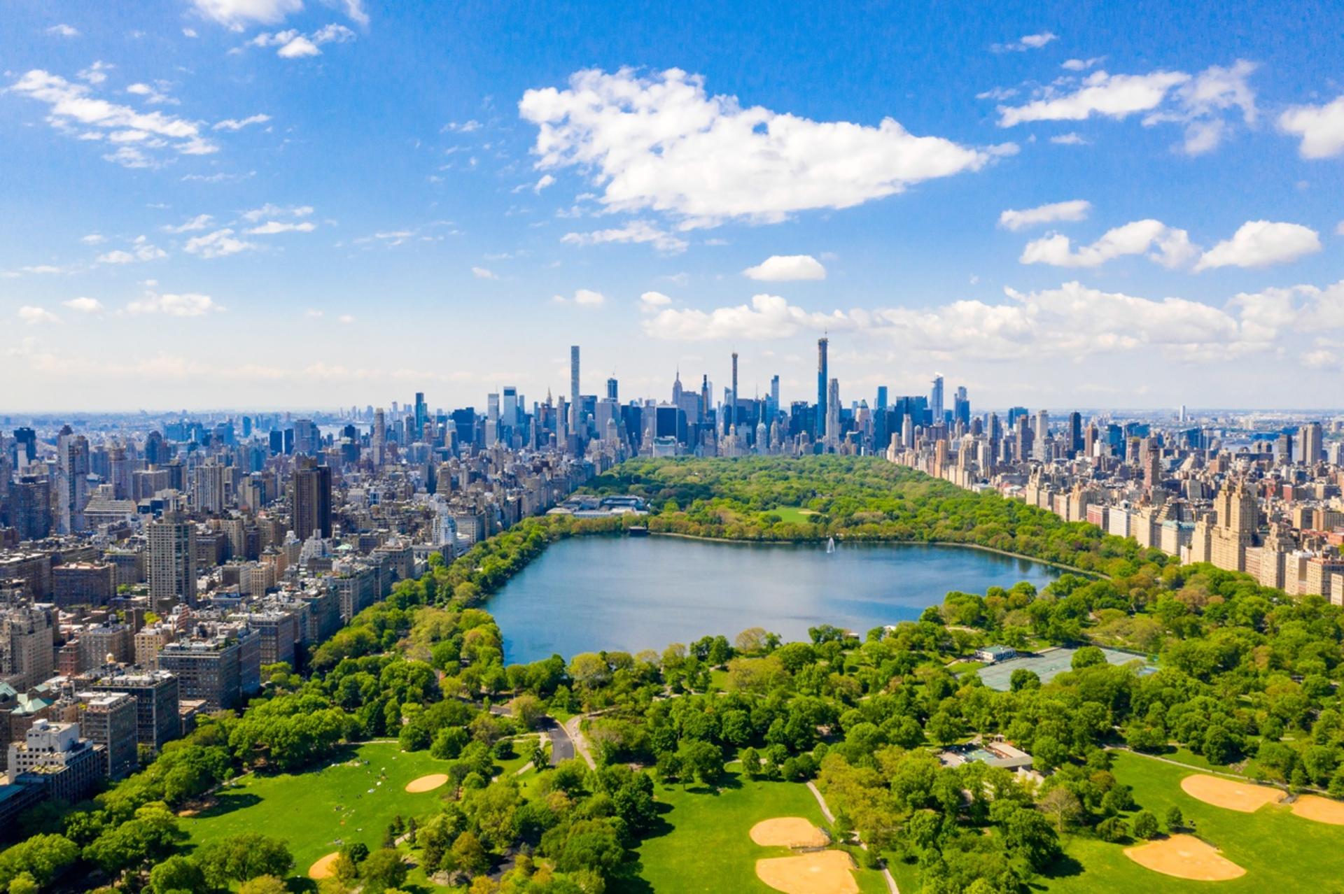 Times Square, Central Park & 5th Avenue 4h Private Tour in New York - Thumbnail 8