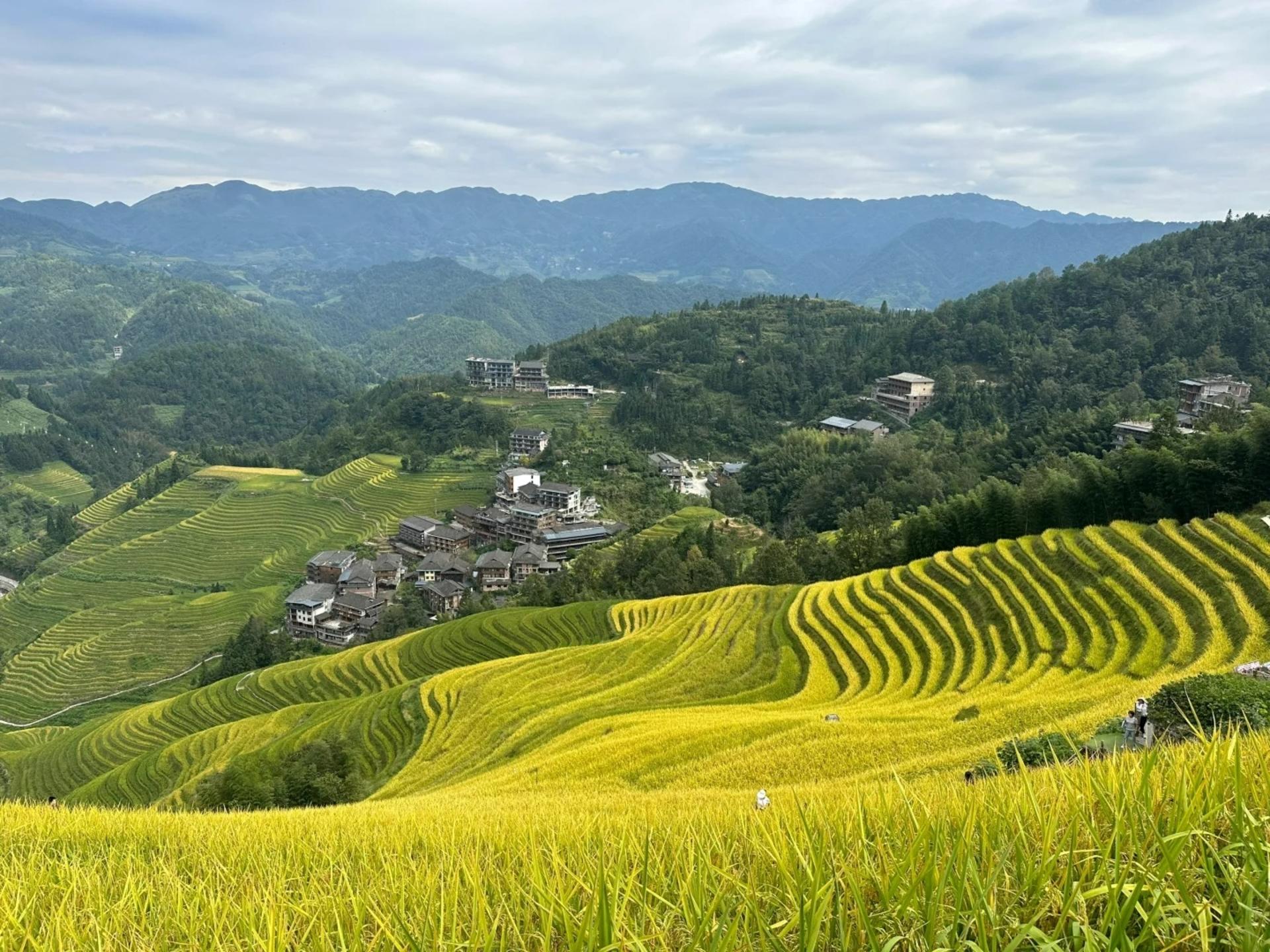 Guilin Longji Terraces & Huangluo Yao Village Day Tour - Thumbnail 5