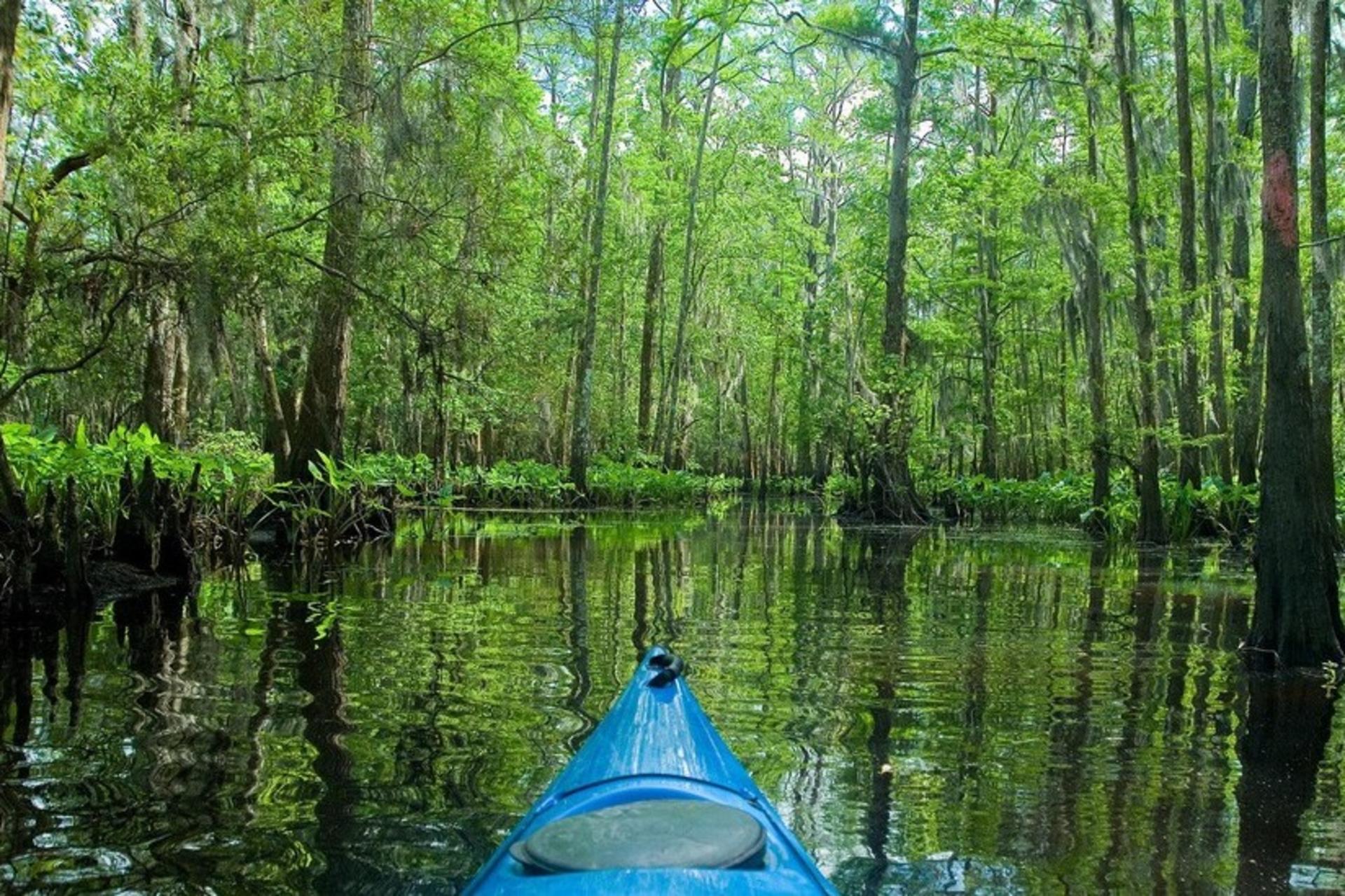 Manchac Magic Kayak Tour - Thumbnail 2