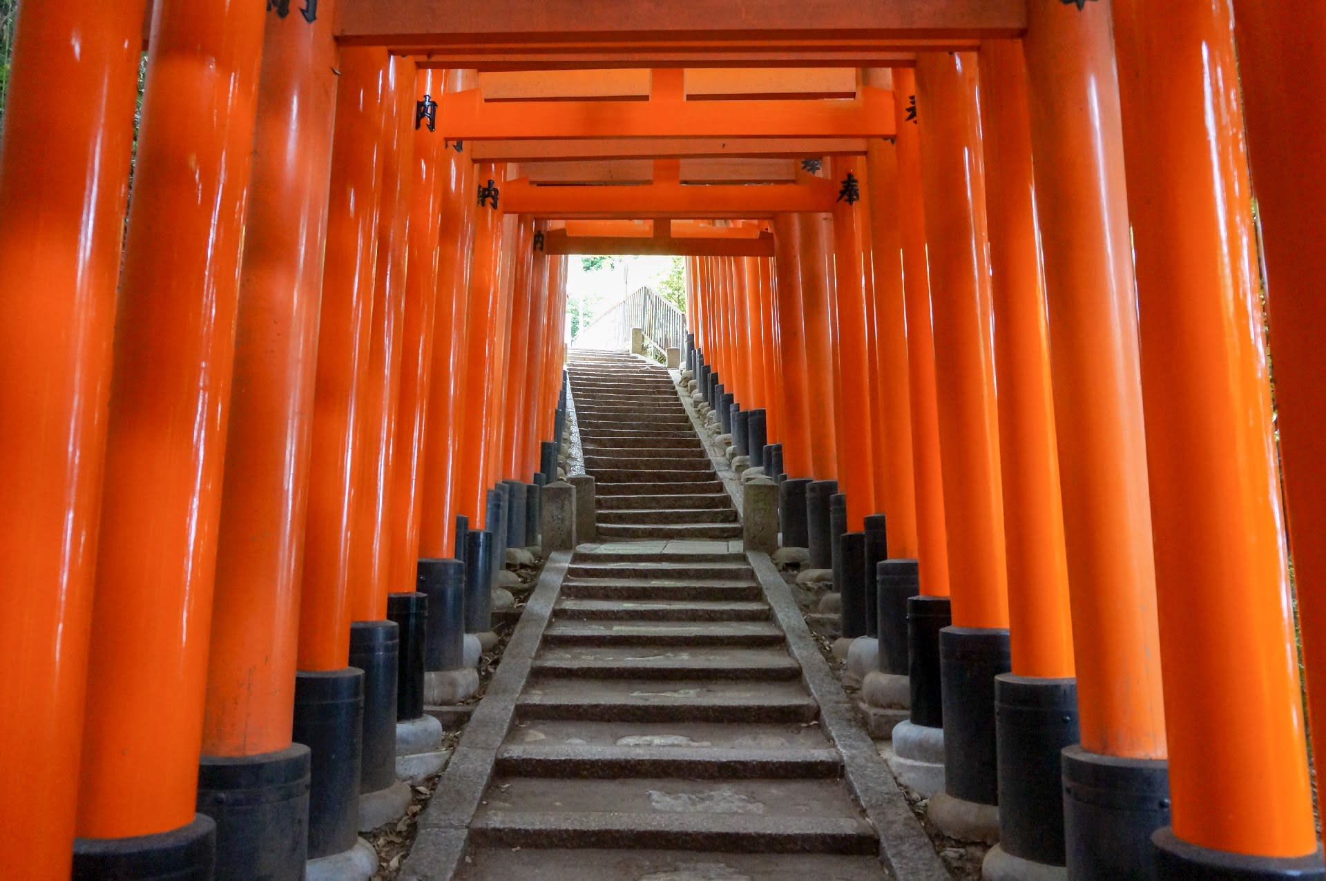 【Kyoto & Nara Historical and Cultural Scenic Day Tour】Arashiyama Scenic Railway & Fushimi Inari-taisha Shrine Senbon Torii & Nara Park & Togetsukyo Bridge & Bamboo Grove Path & Kimono Forest (Departing from Osaka or Kyoto) - Thumbnail 30