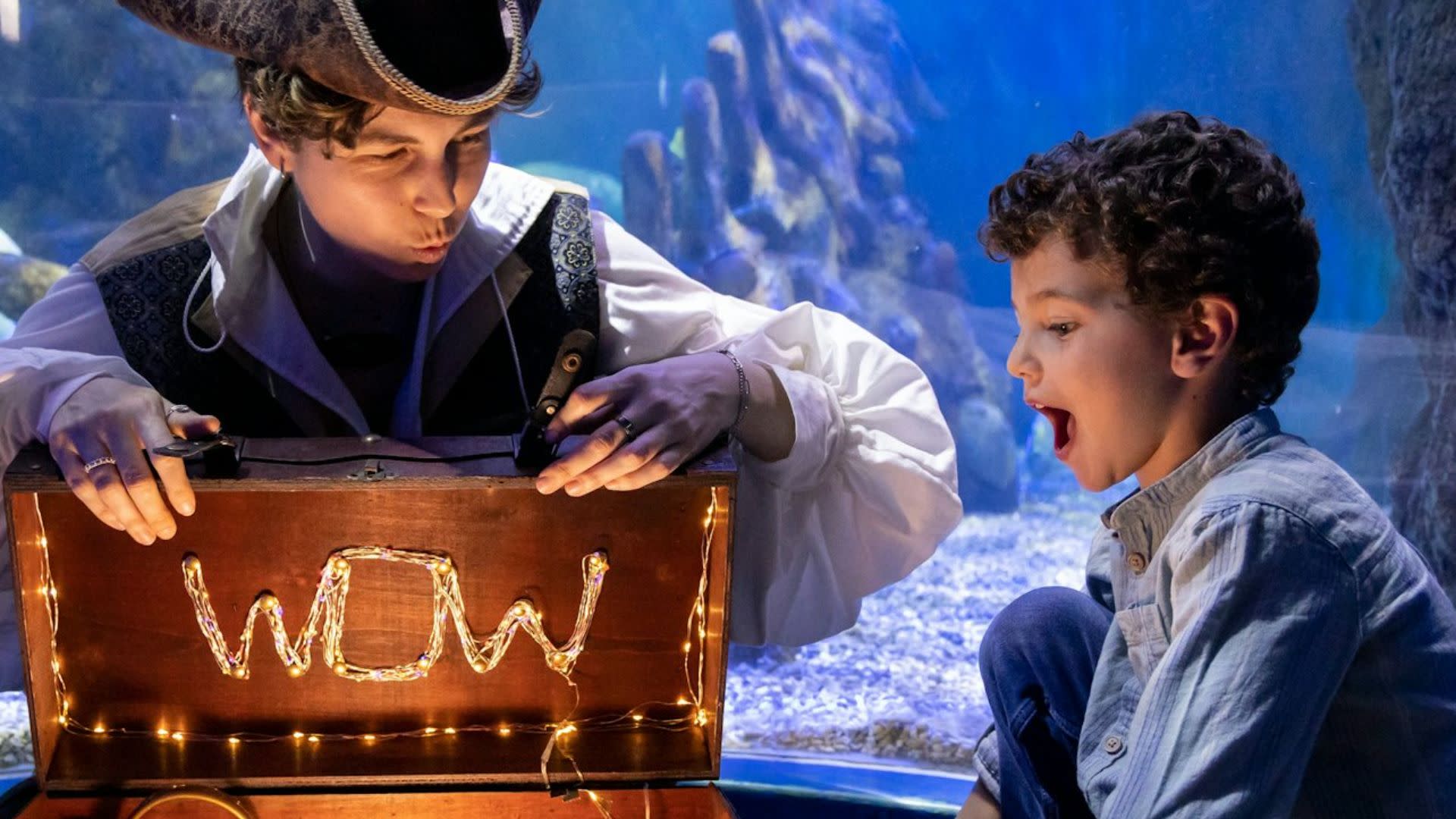 Sea Life Benalmadena Ticket - Thumbnail 7