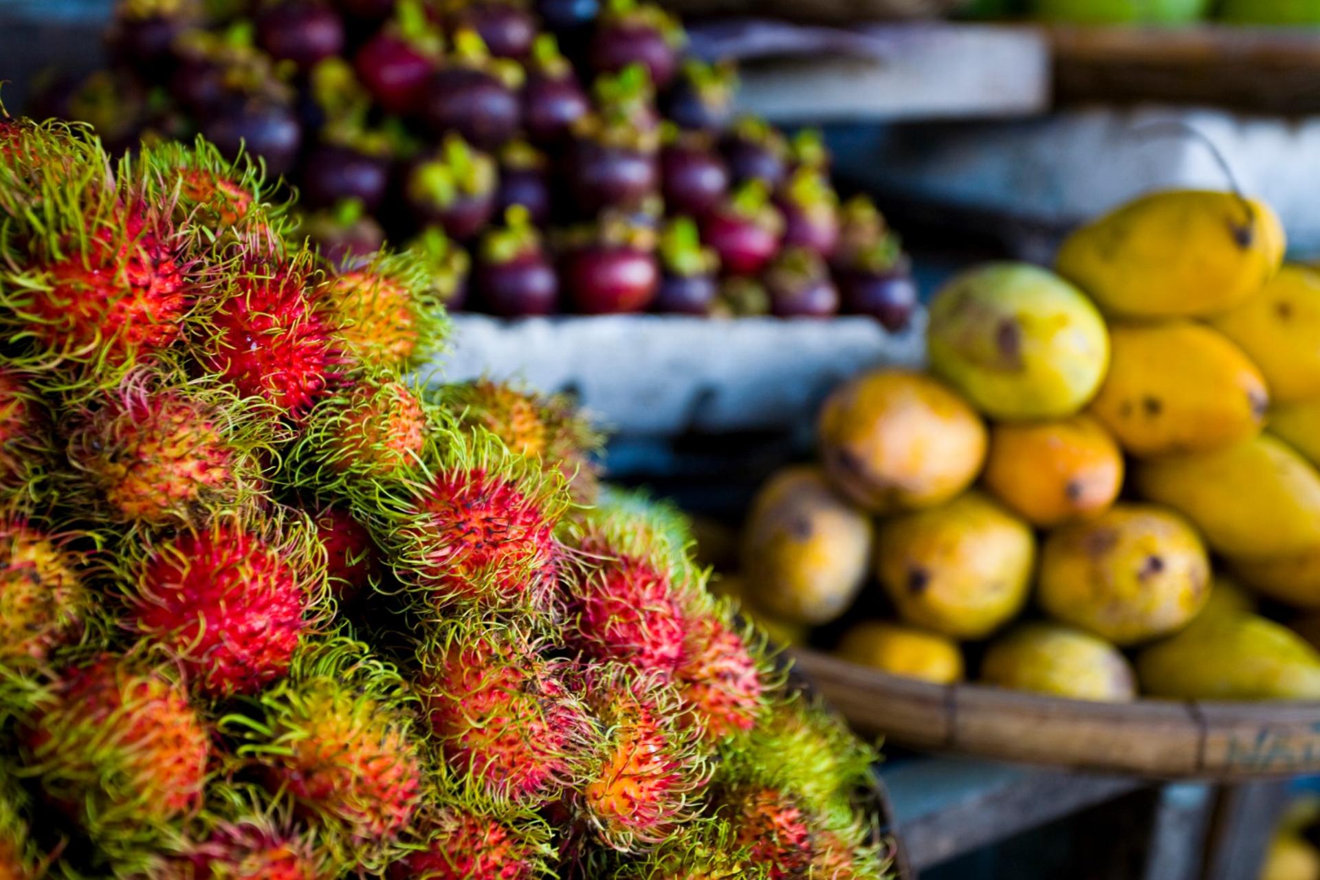 Cu Chi Tunnels & Mekong Delta Day Tour with Deluxe Transfer Option - Thumbnail 10