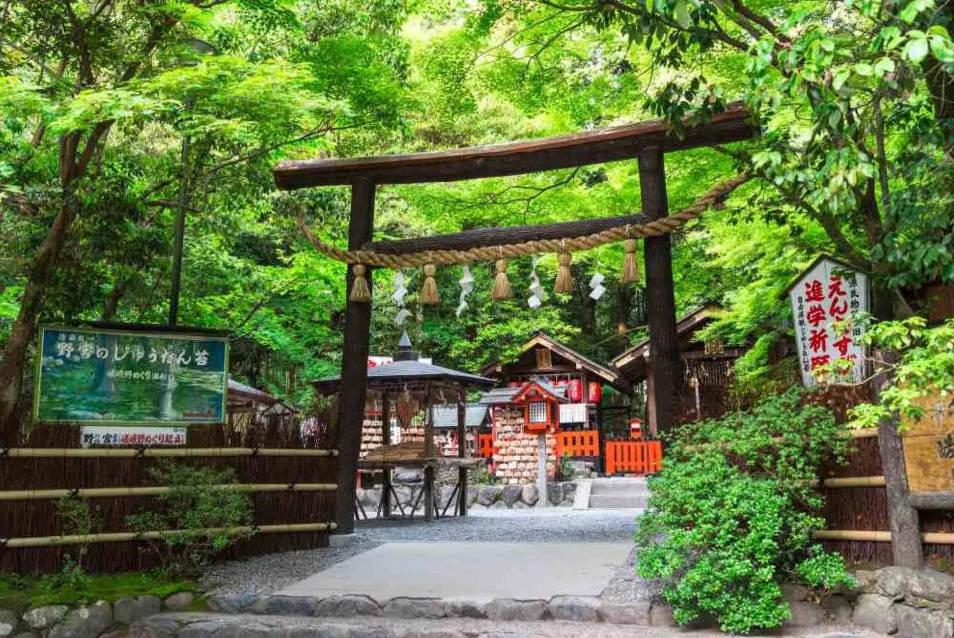 [Departing from Osaka/Kyoto] Kyoto/Nara/Osaka Enjoy a flexible and customized chartered car day trip in Kansai - Thumbnail 5