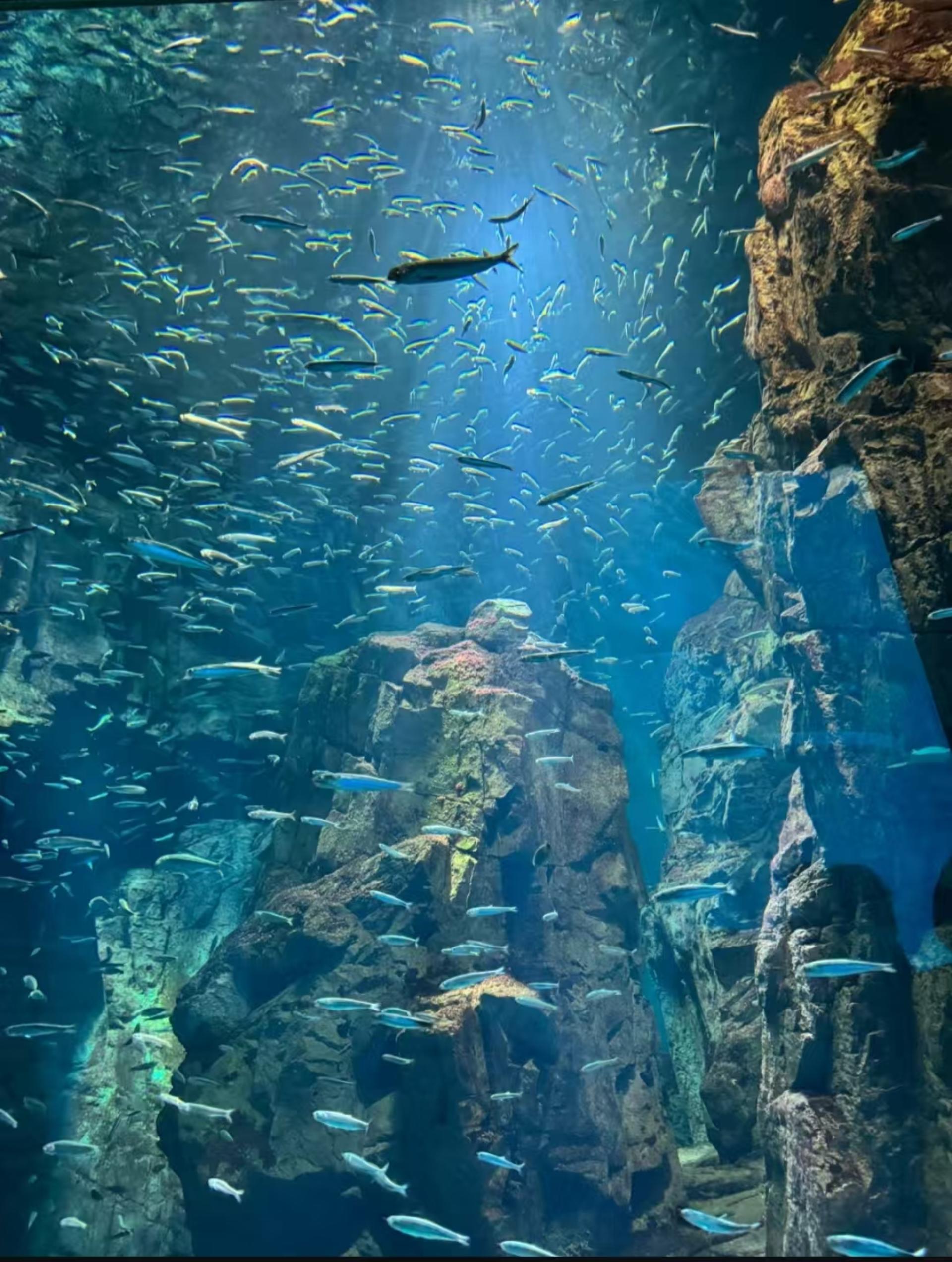 Osaka Private Small Group Day Trip - Thumbnail 3