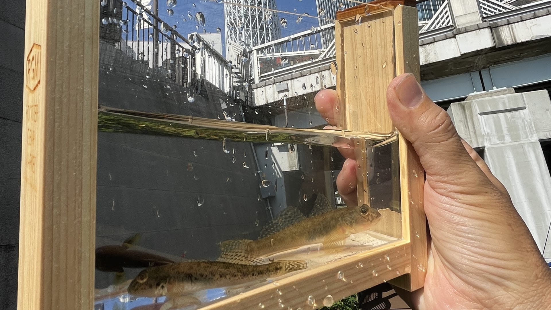 Lampas Outdoor Life: Traditional Japanese Fishing Experience - Thumbnail 2