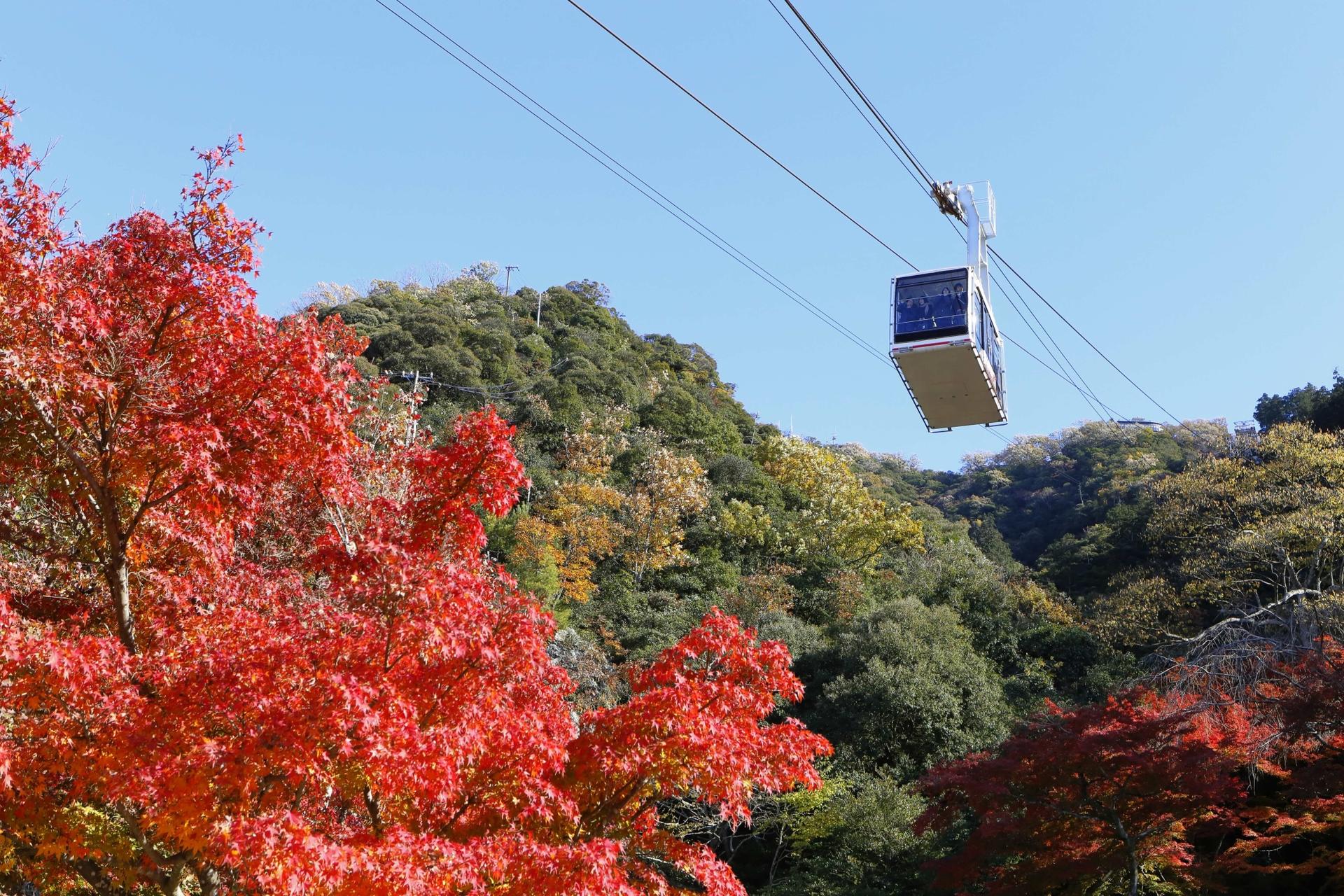 Gifu & Takayama Access Ticket: Nagoya Departure - Thumbnail 11