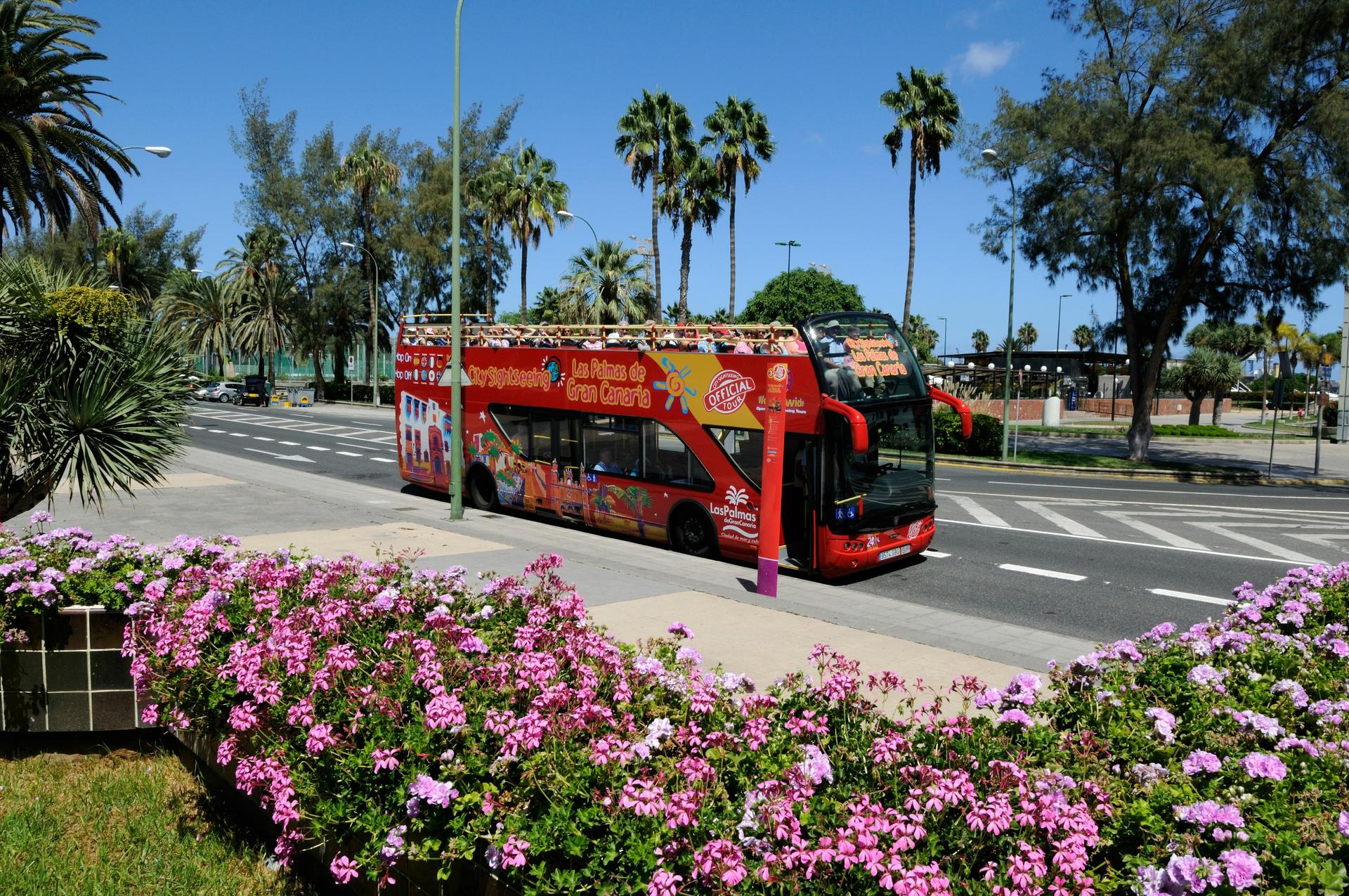 Las Palmas de Gran Canaria City Sightseeing Hop-On Hop-Off Bus Tour - Image 1