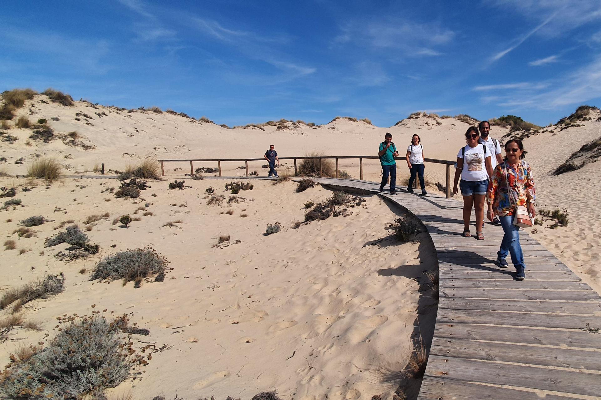 Donana National Park and El Rocio Village Day Tour from Seville - Thumbnail 9
