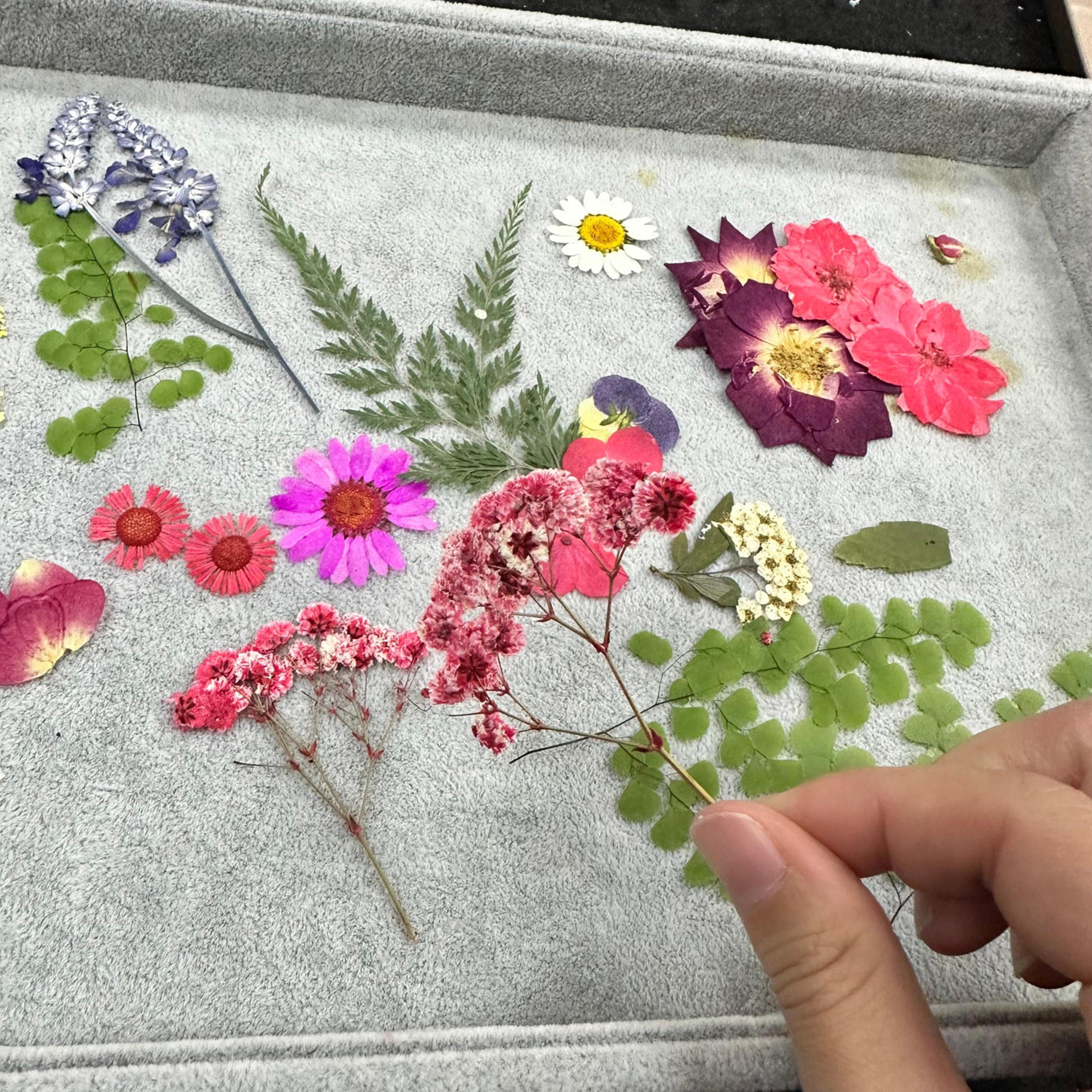 Bing Shu Lab | Pressed Flower Art Workshop - Thumbnail 8