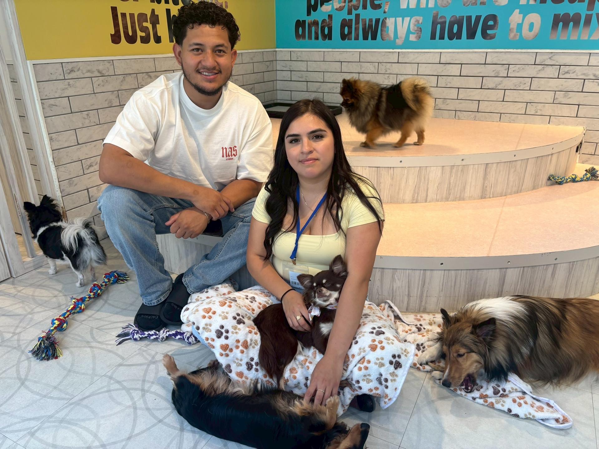Play with Dogs at Dog Cafe Rio Harajuku[Dog Cafe Rio Harajuku] - Image 1