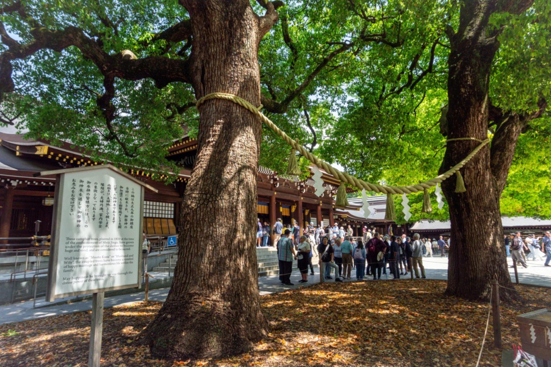 Tokyo: Meiji Shrine & Shinto Culture Walking Tour - Thumbnail 20