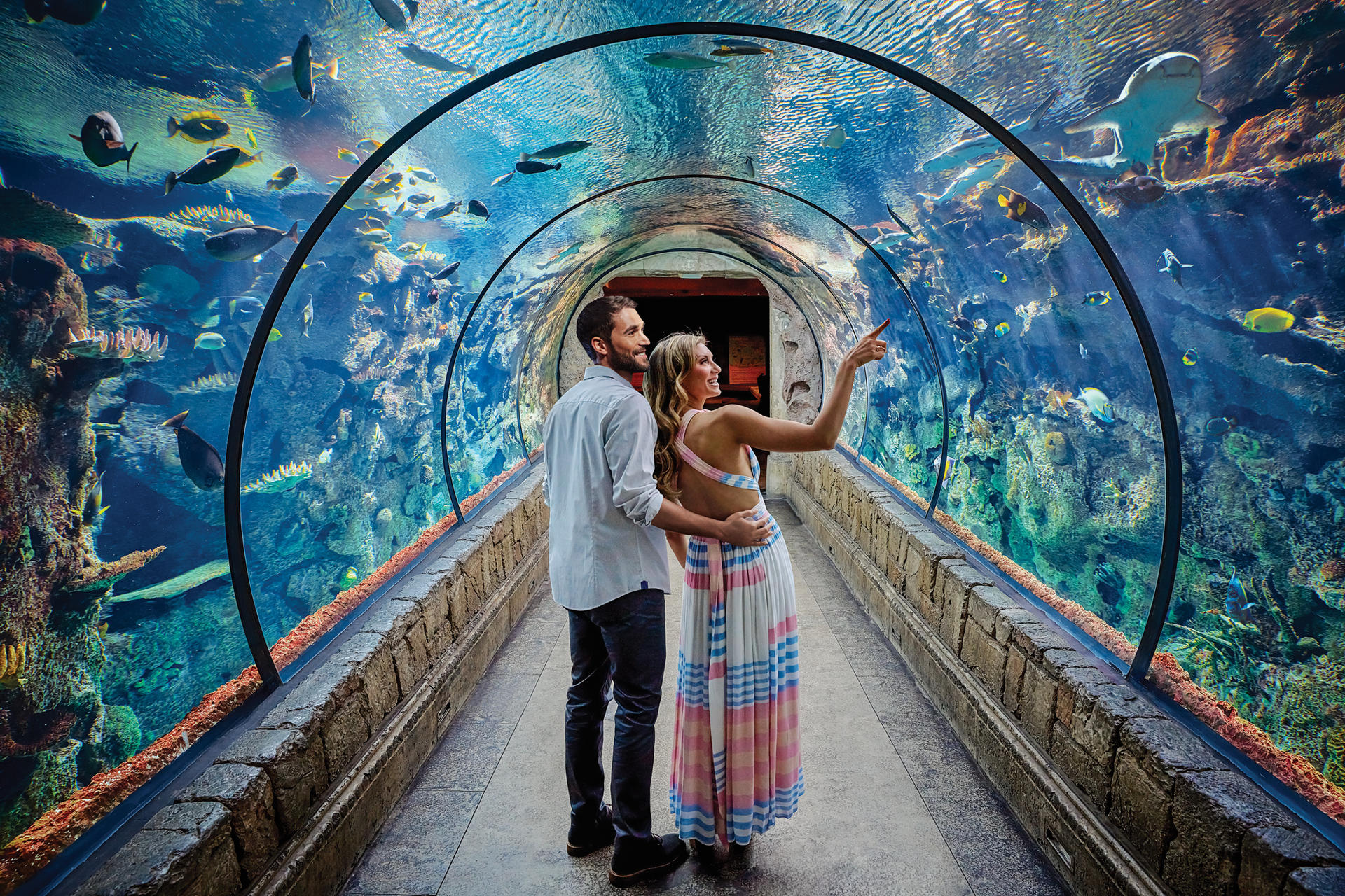 Shark Reef Aquarium Admission in Las Vegas - Thumbnail 4