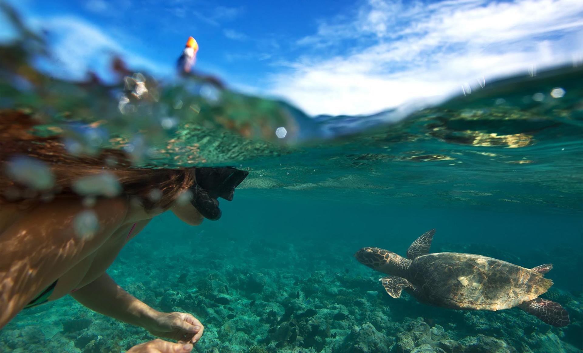 Oahu North Shore Circle Island Adventure + Swimming with Turtles - Thumbnail 2