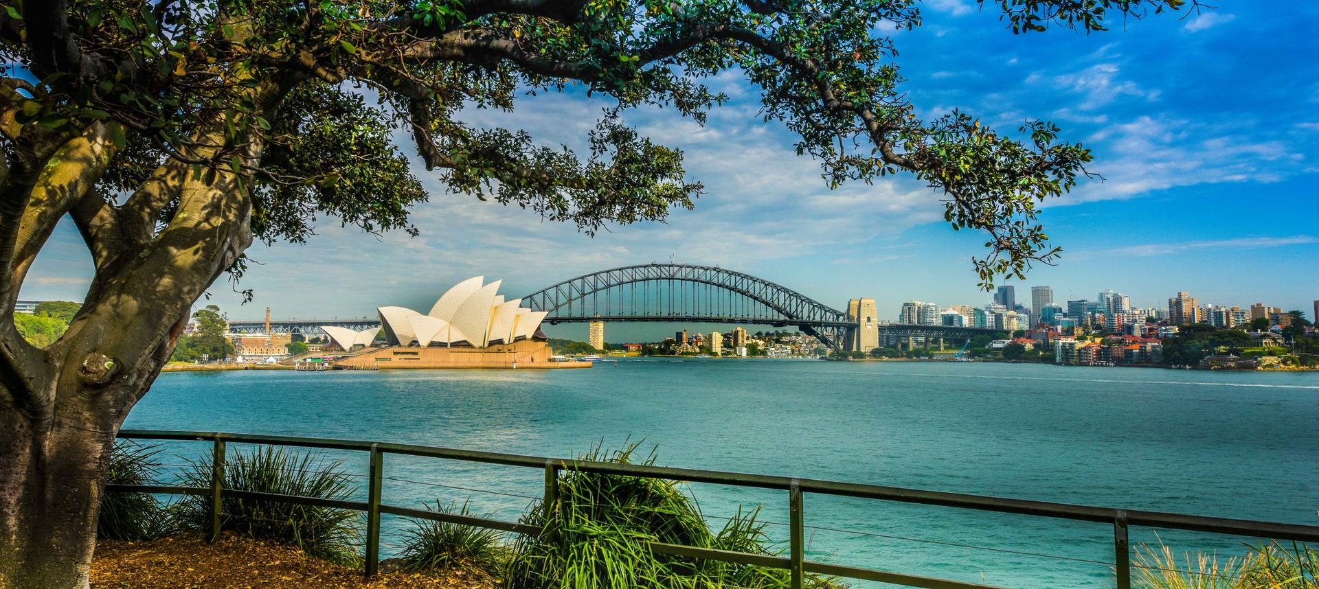 Morning Sydney Sights Tour and Harbour Lunch Cruise - Thumbnail 3