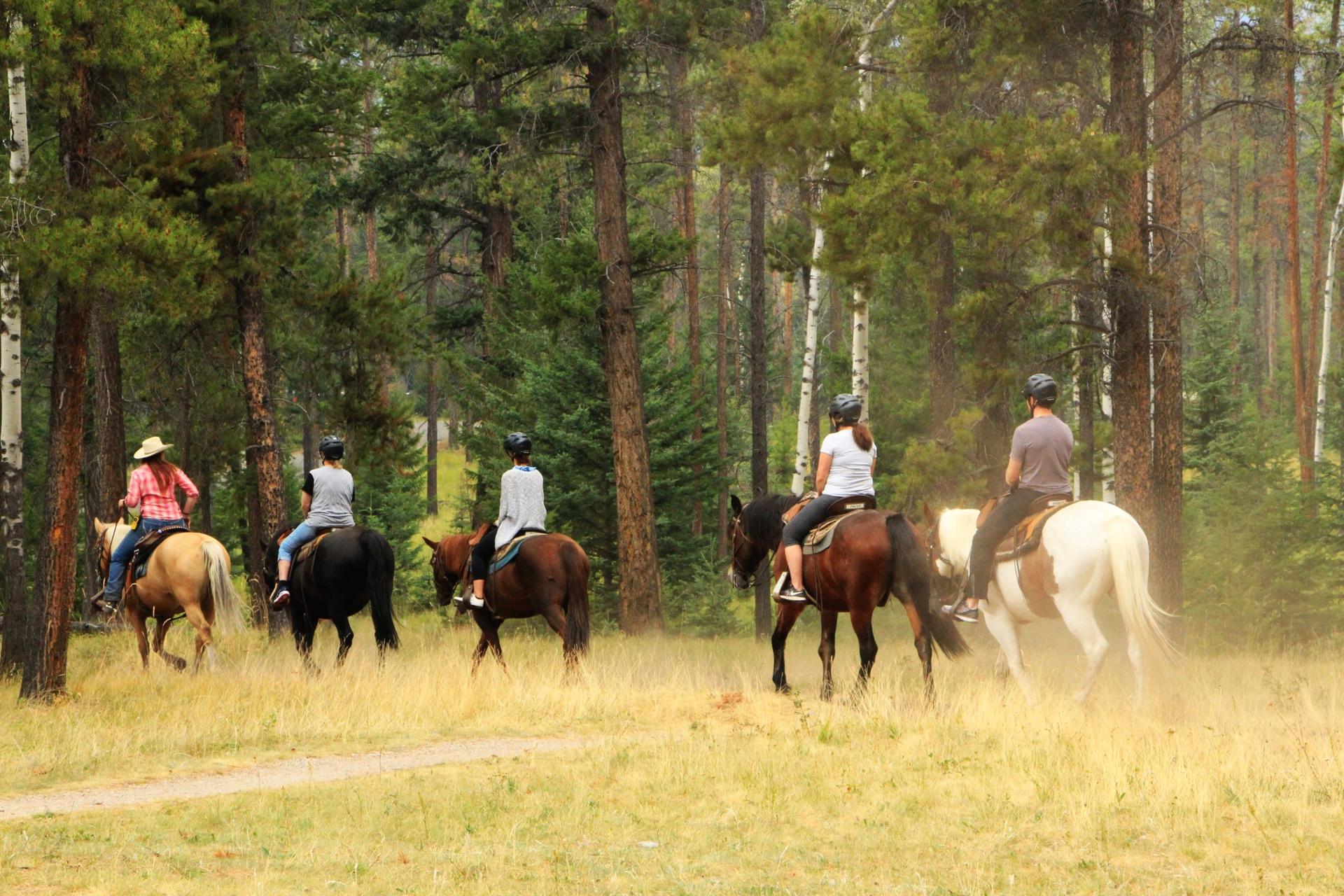Horseback Riding Adventure in Fethiye - Thumbnail 2