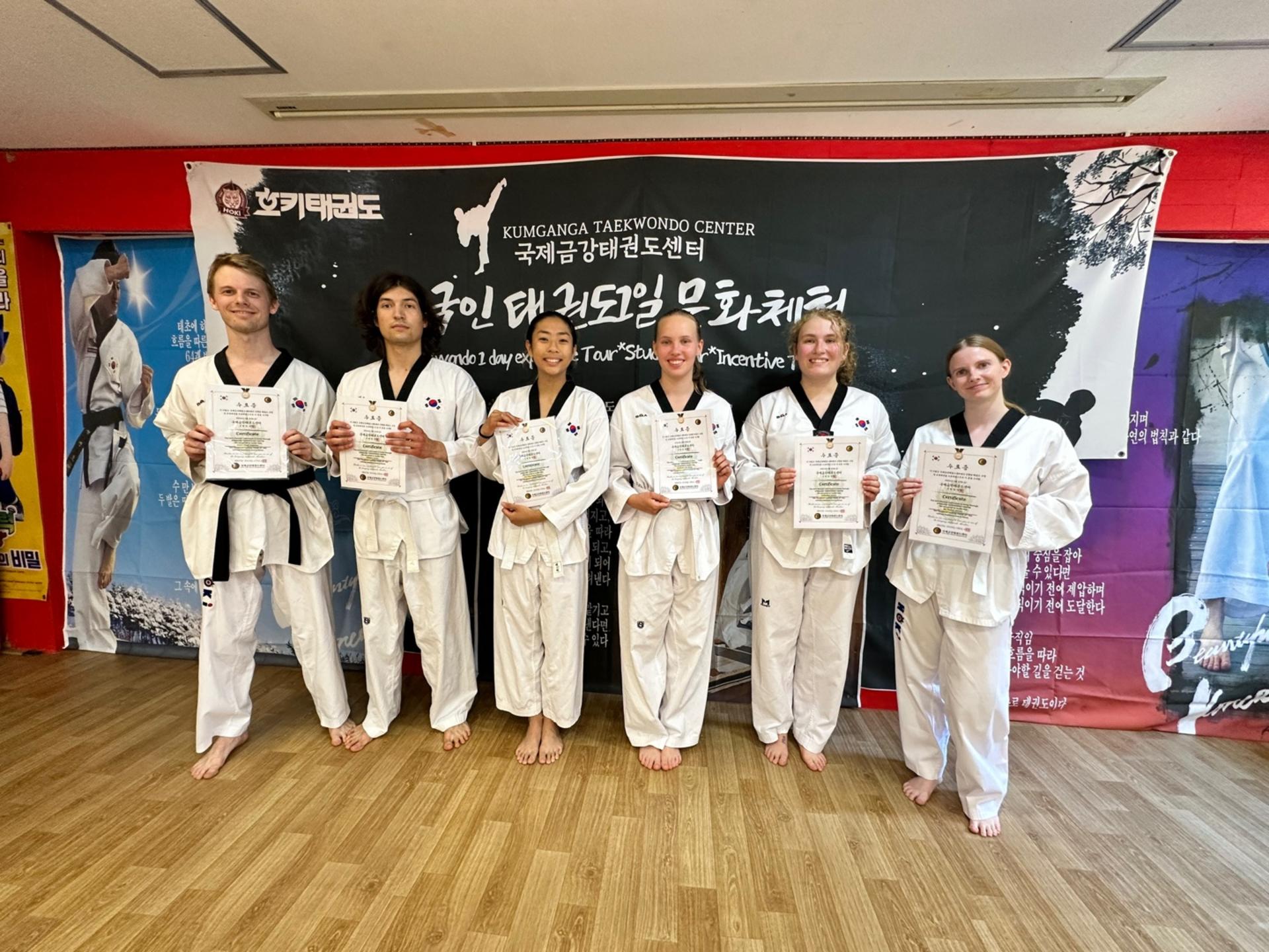 Seoul Taekwondo One-Day Experience - Thumbnail 5