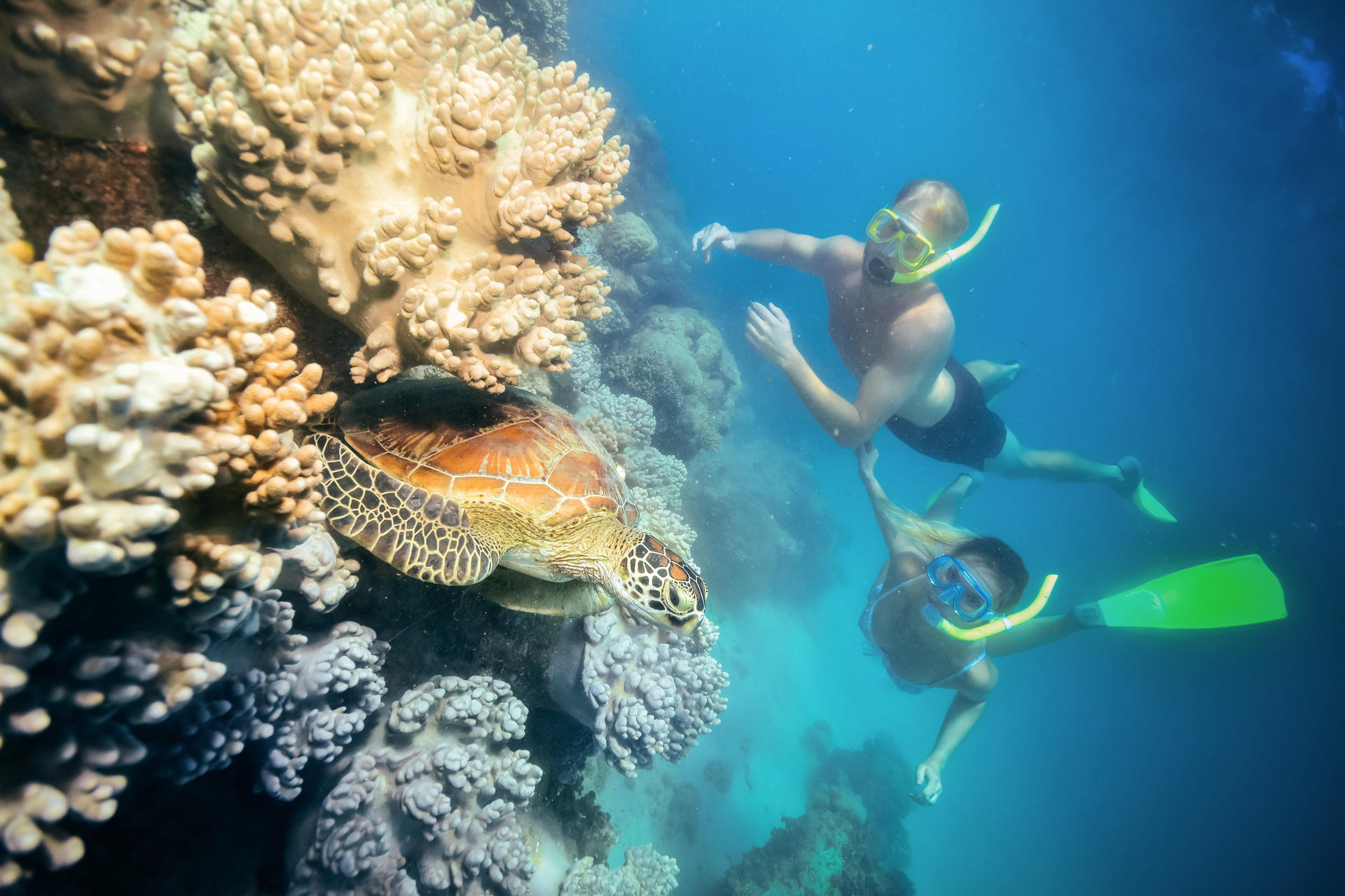 Green Island Snorkelling & Glass Bottom Boat Day Tour - Thumbnail 6