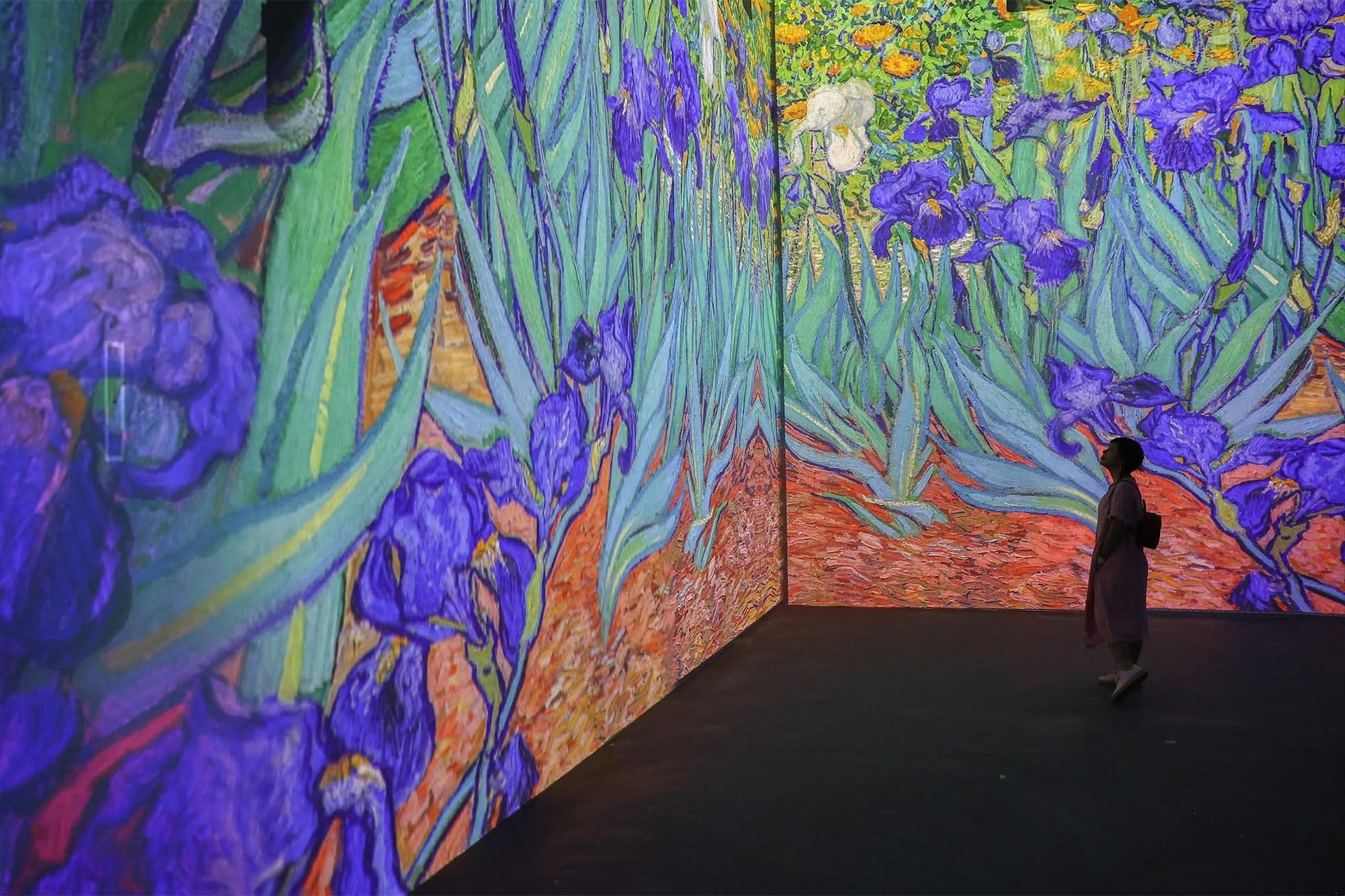 Van Gogh & Impressionist Masters Art Lighting Experience - Thumbnail 2