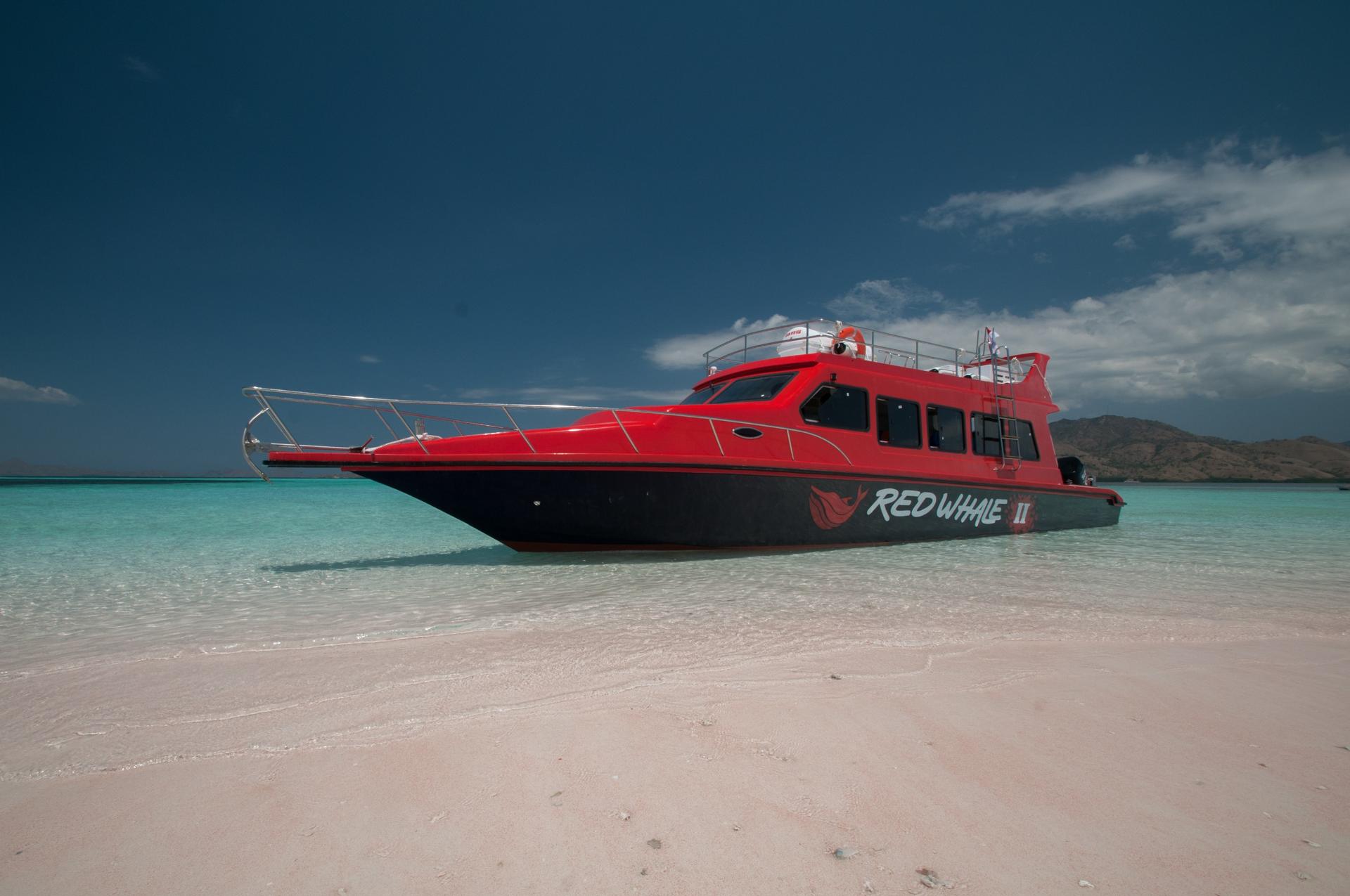 Red Whale Speedboat Full Day Tour from Labuan Bajo - Thumbnail 19