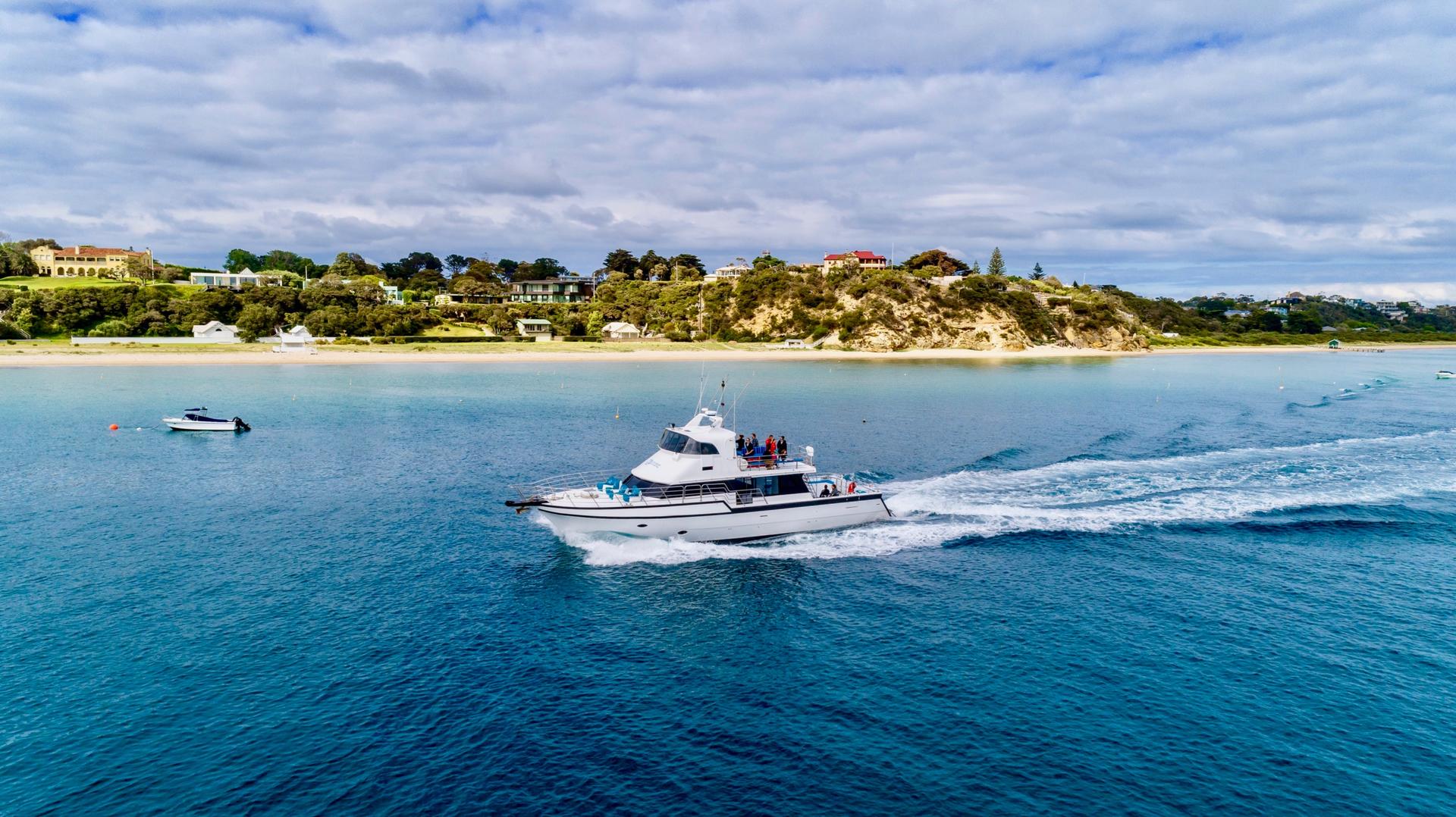 1.5 hour Scenic and Wildlife Adventure Cruise - Thumbnail 5