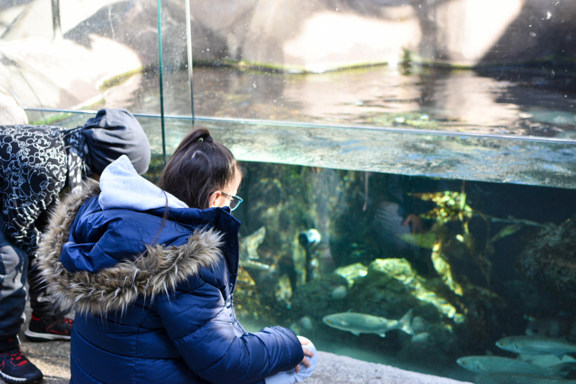 Melbourne Zoo Ticket  - Thumbnail 10