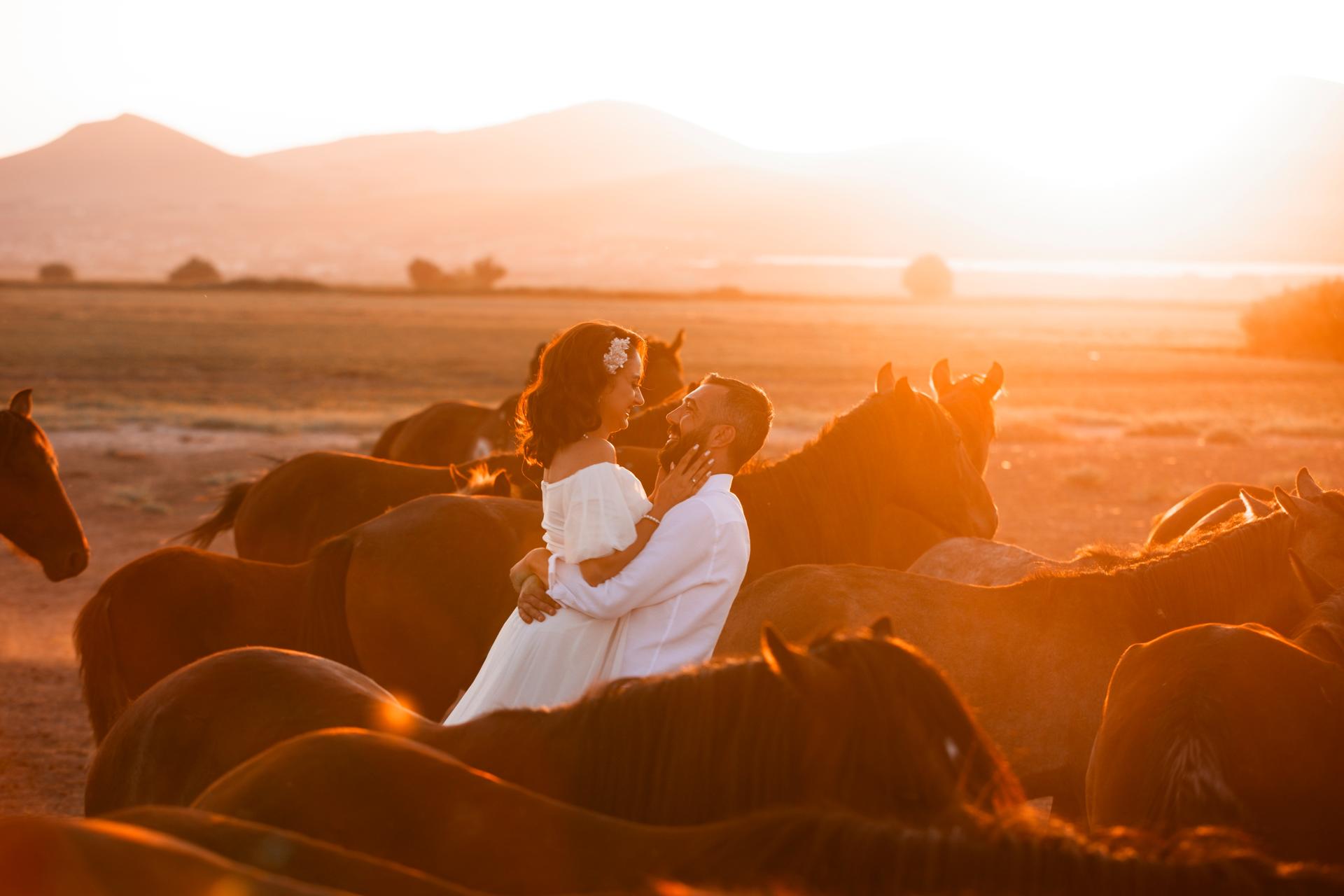Private Photoshoot With Wild Horses in Cappadocia - Thumbnail 29