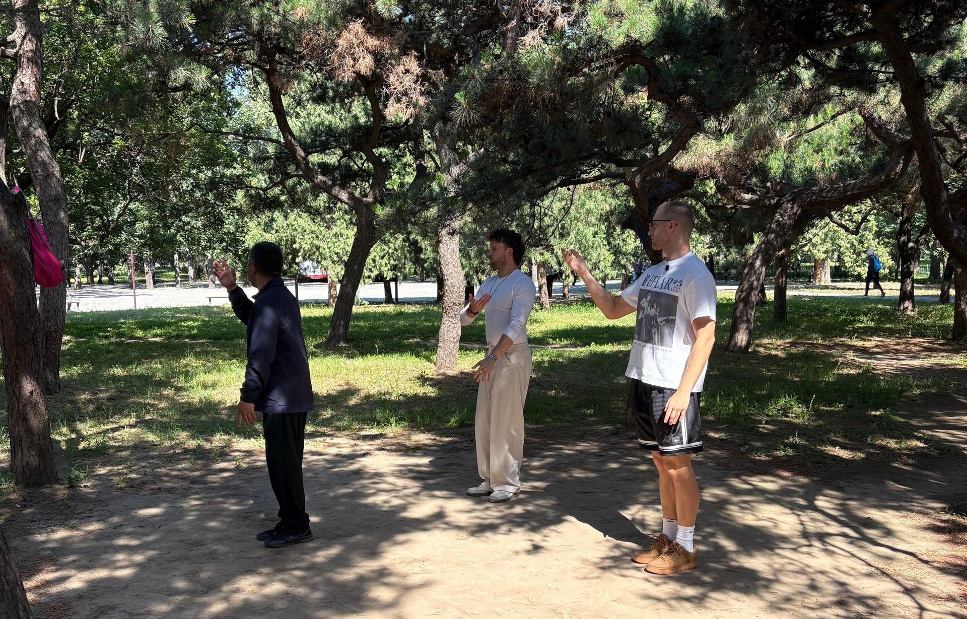 Beijing Temple of Heaven Half-Day Tai Chi Experience - Thumbnail 4