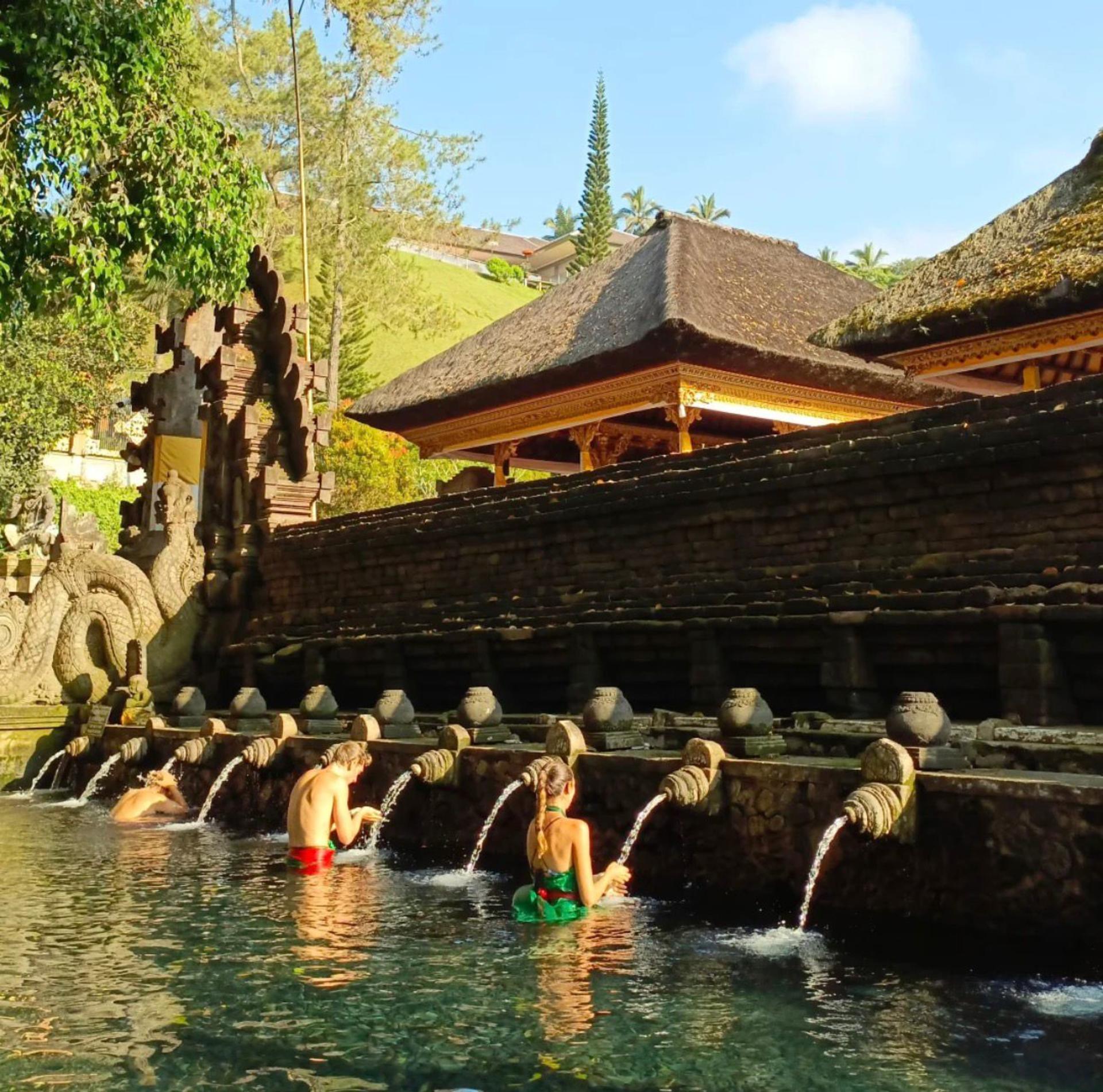 Best of Ubud Private Tour - Waterfalls, Rice Terrace & Sacred Temple - Thumbnail 4