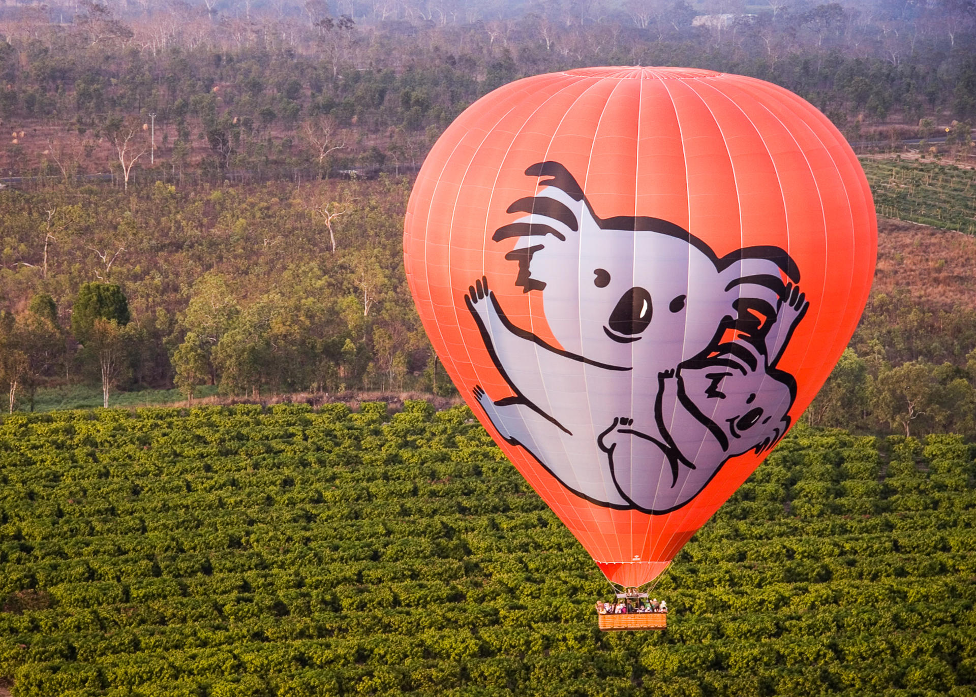 Cairns Hot Air Balloon and Jet Boat Experience - Thumbnail 3