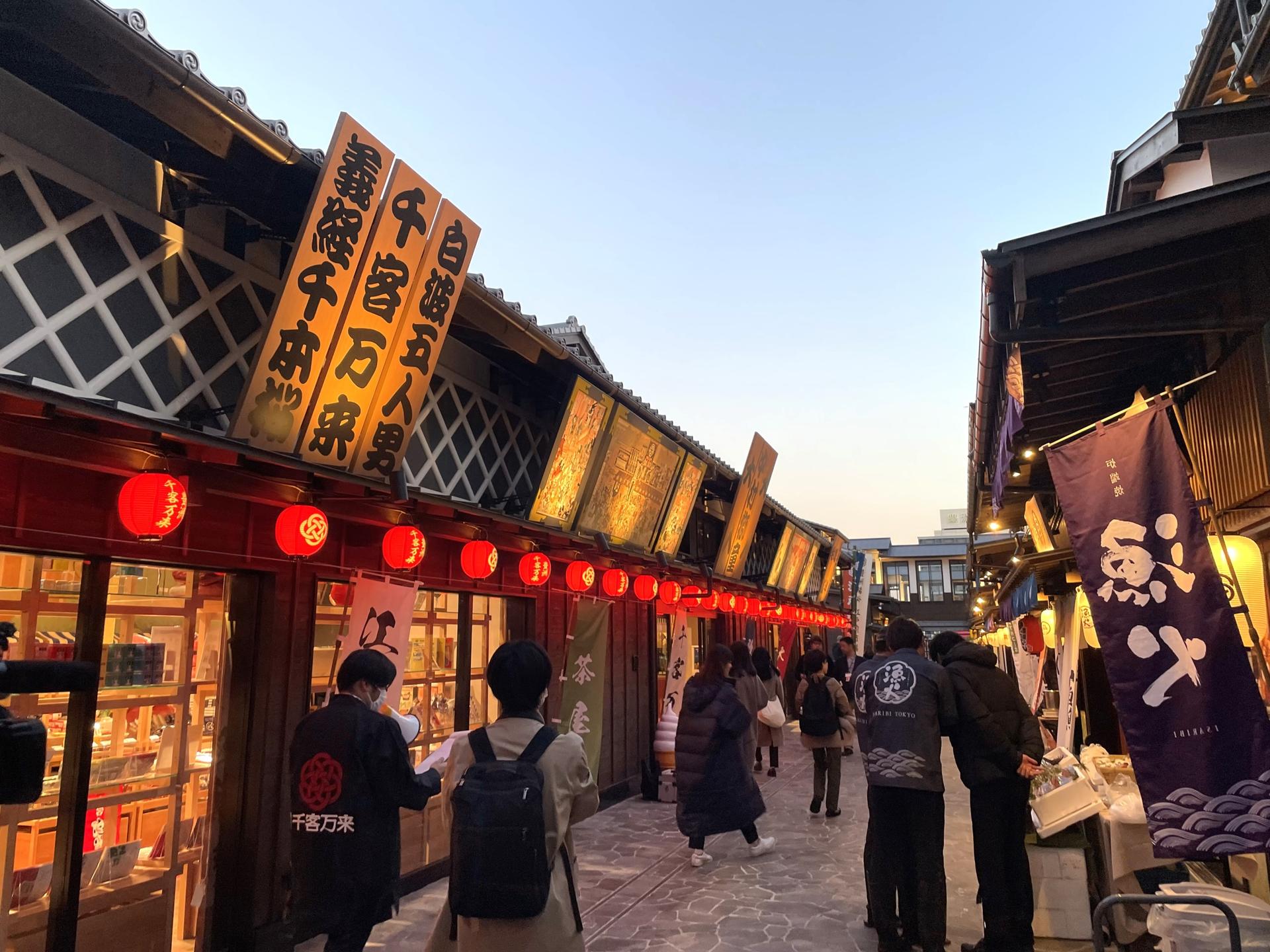 Tokyo Private Chartered Car Day Tour (Customizable Itinerary) - Thumbnail 5