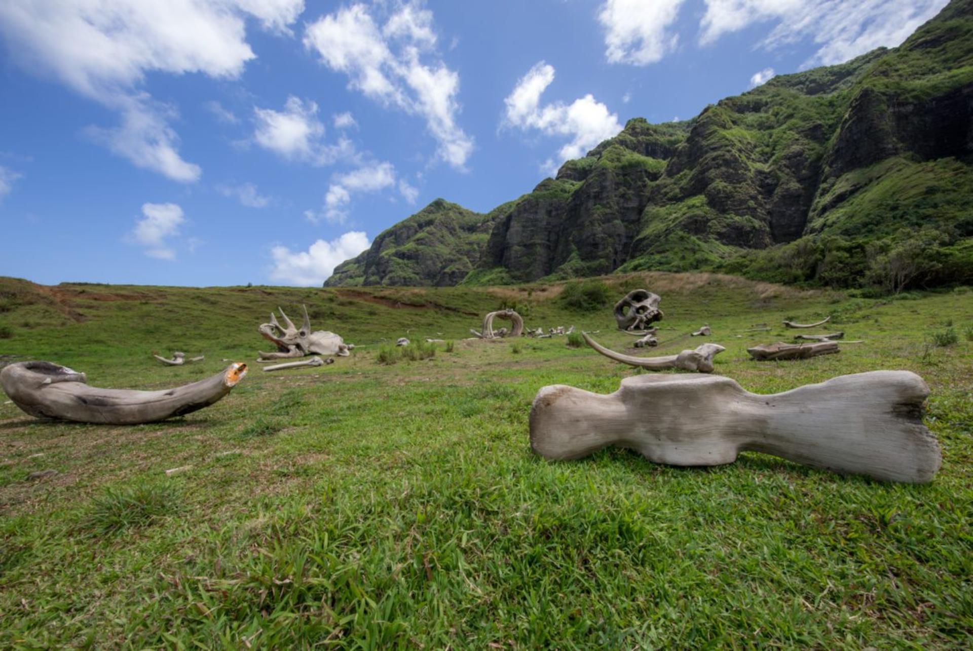 Kualoa Ranch Hollywood Movie Sites Tour - Thumbnail 3