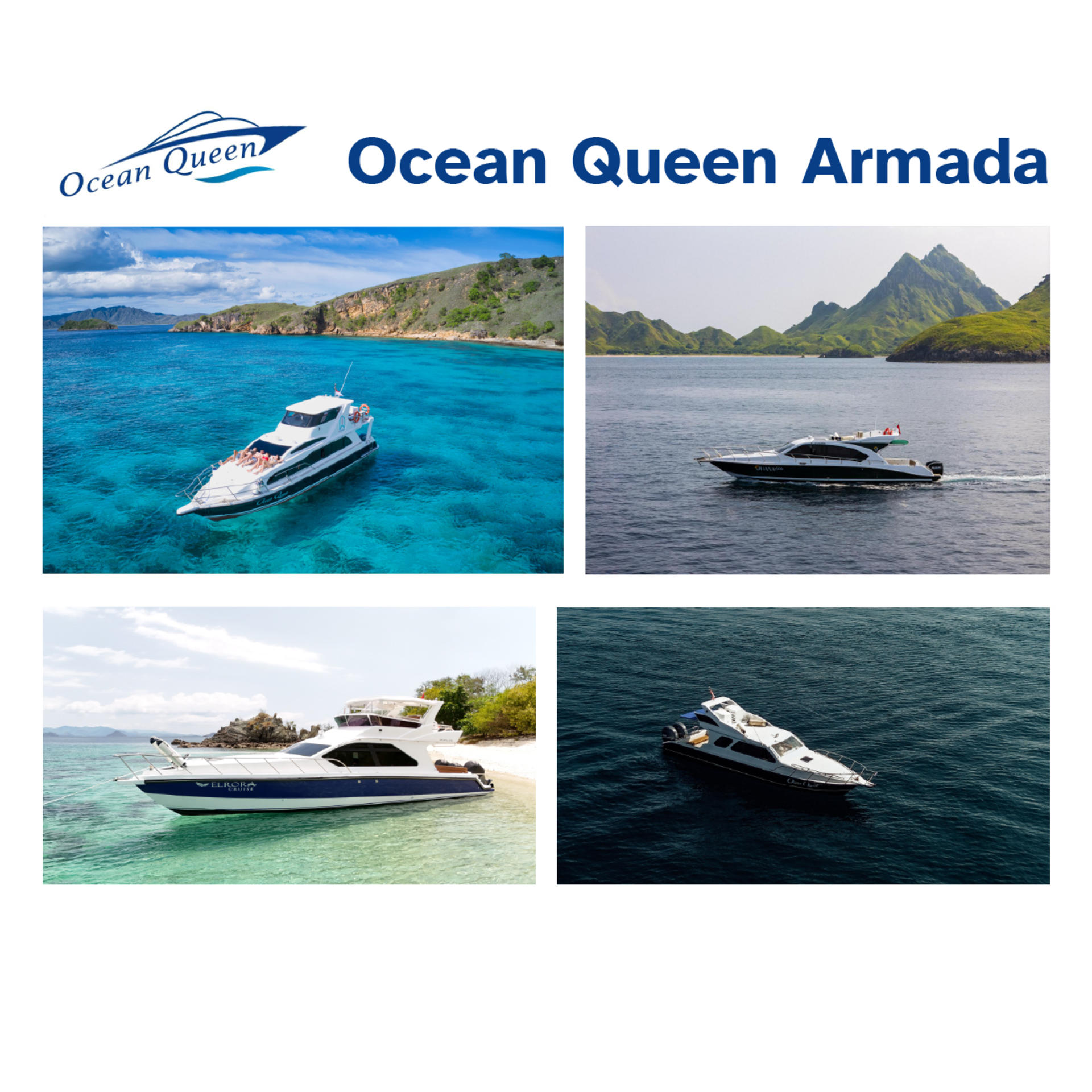 Komodo Speedboat and Island Tour from Labuan Bajo - Thumbnail 10