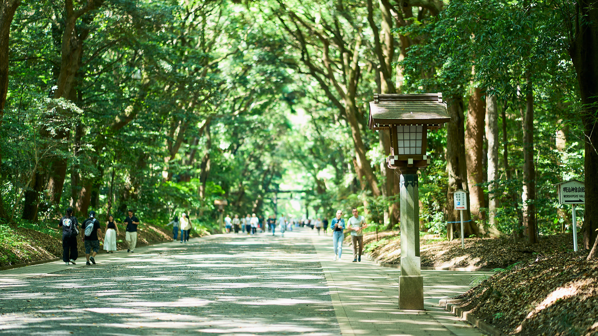 Tokyo: Meiji Shrine Walking Tour - Shintoism & Imperial System - Thumbnail 2