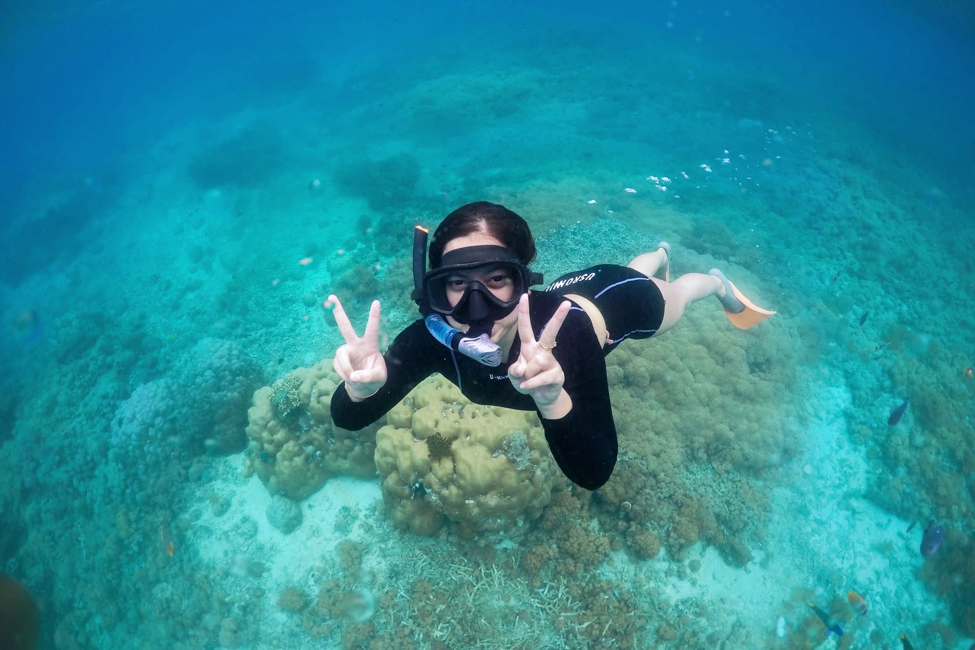 Lombok Multi-Day Small Group Nature Tour - Thumbnail 4
