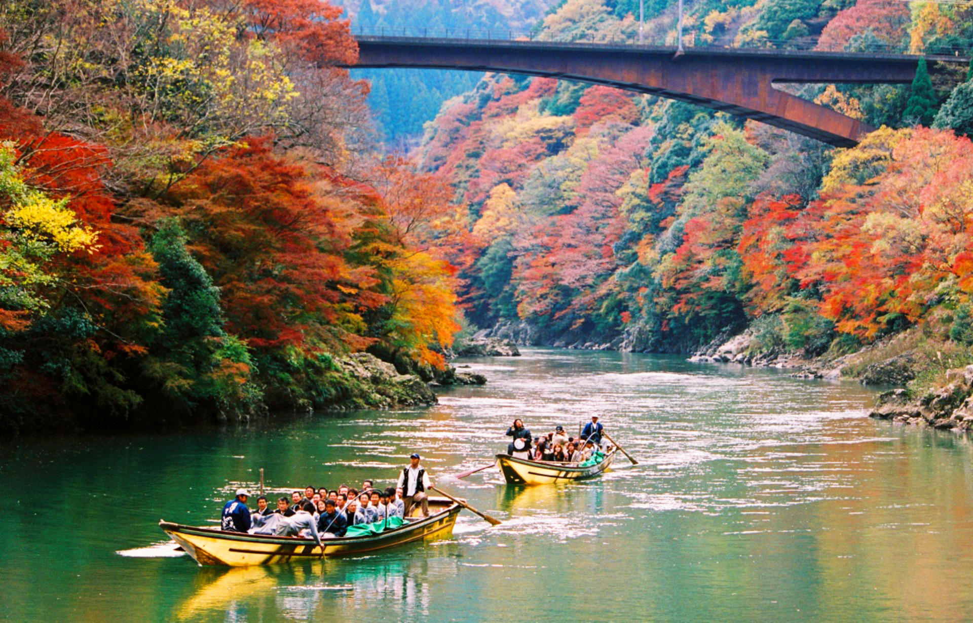Kyoto, Arashiyama, Nara: Sagano Scenic Railway, Bamboo Forest Path, Yuzen Forest of Light, Nara Park, Fushimi Inari Shrine, Chiikawa Store Visit Day Trip | Departure from Osaka - Thumbnail 21