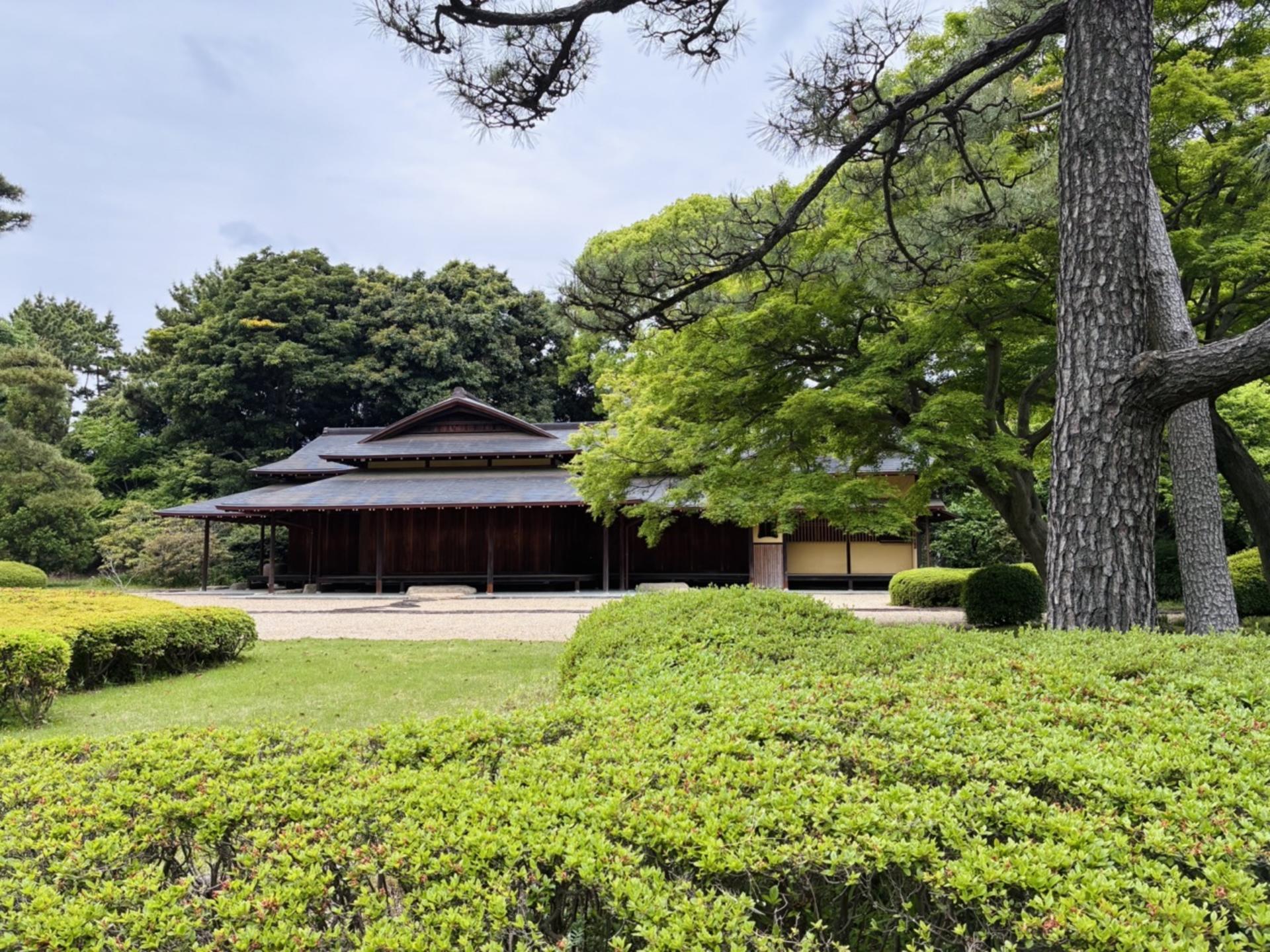 Tokyo: Imperial Palace & Shogun Castle Walking Tour - Thumbnail 23